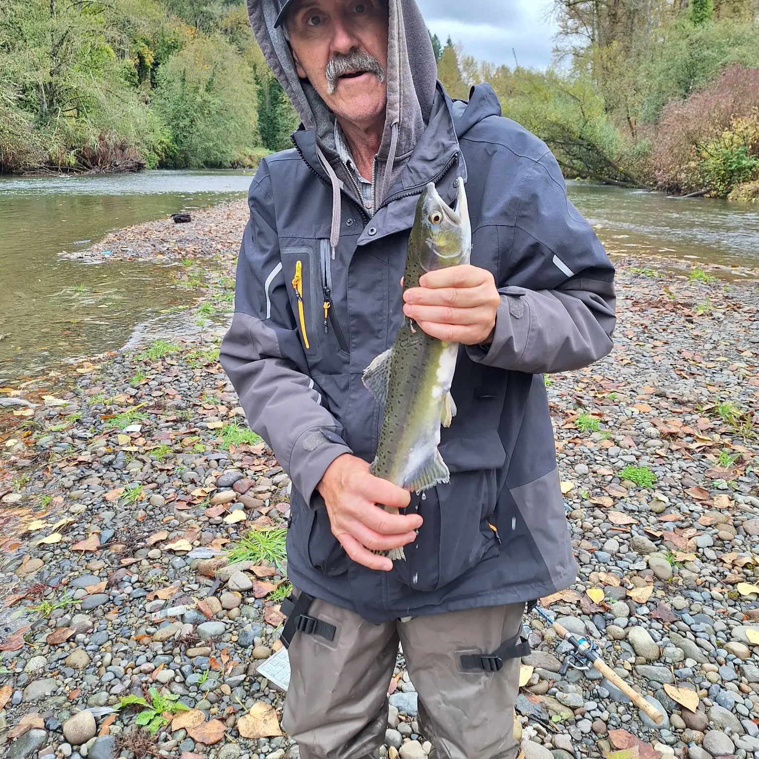 ᐅ Lake Sawyer fishing reports🎣• Maple Valley, WA (United States) fishing