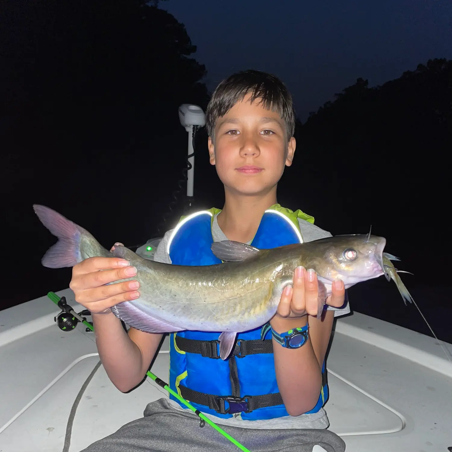 ᐅ Shearon Harris Reservoir fishing reports🎣• Holly Springs, NC