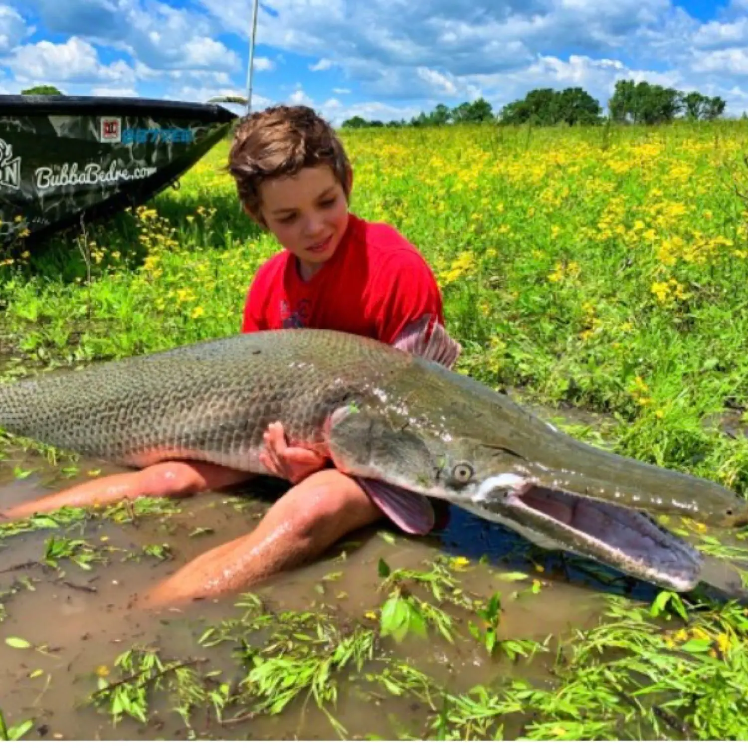 ᐅ Albon Lake fishing reports🎣• Maumee, OH (United States) fishing