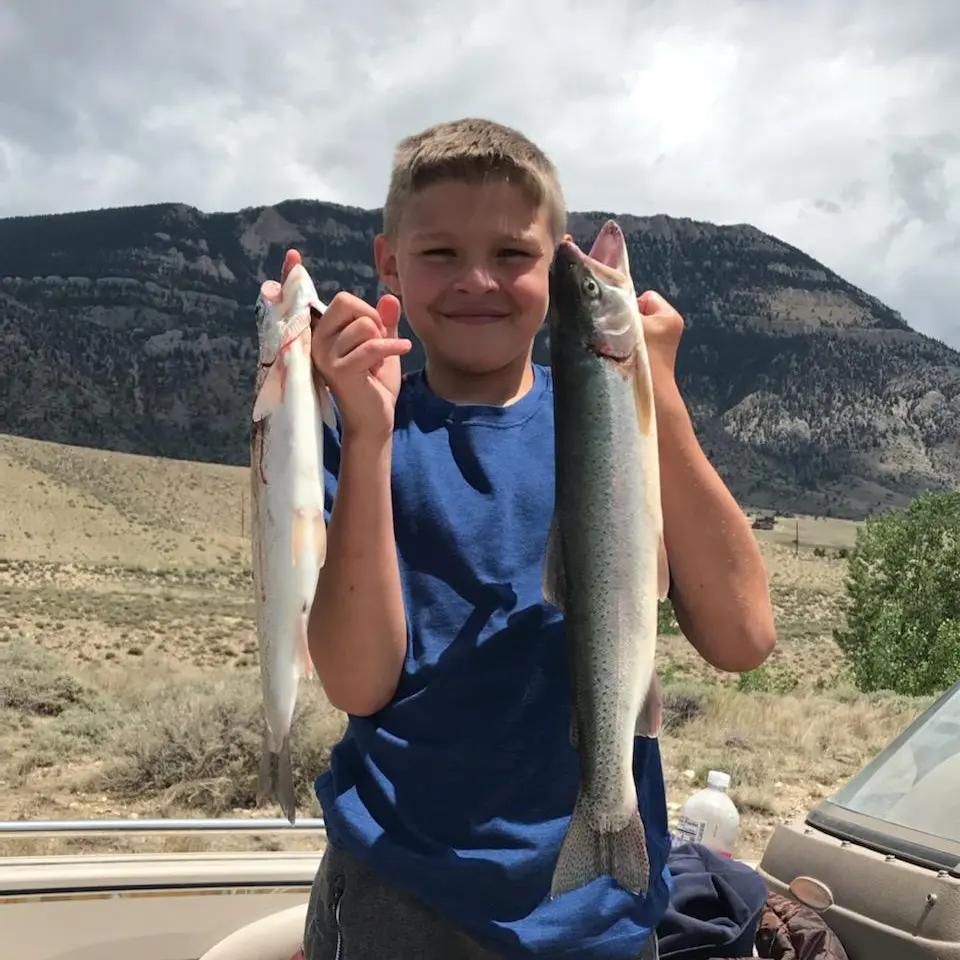 ᐅ Buffalo Bill Reservoir fishing reports🎣• WY, United States fishing