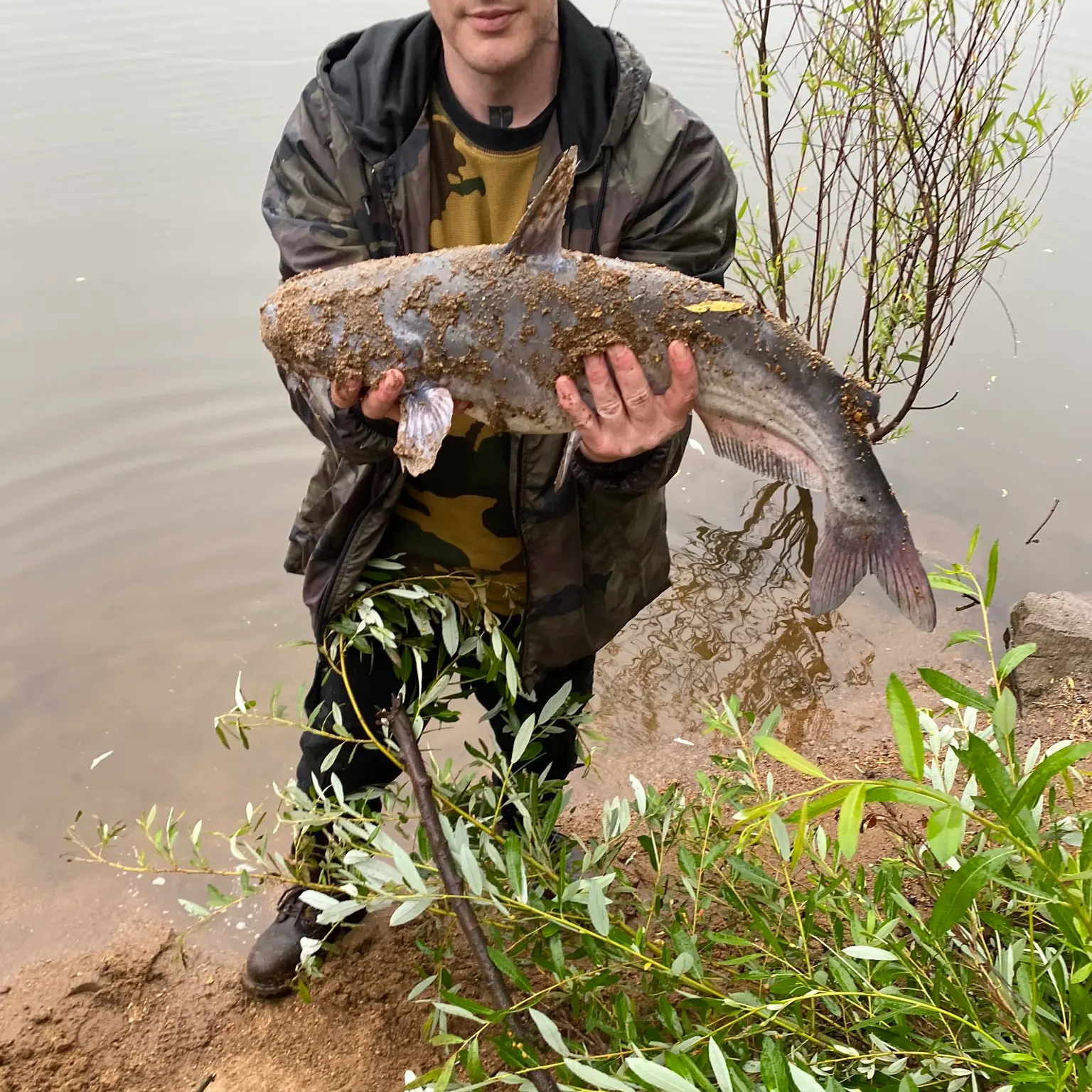 Lake Wohlford catfish record broken while trout anglers count down