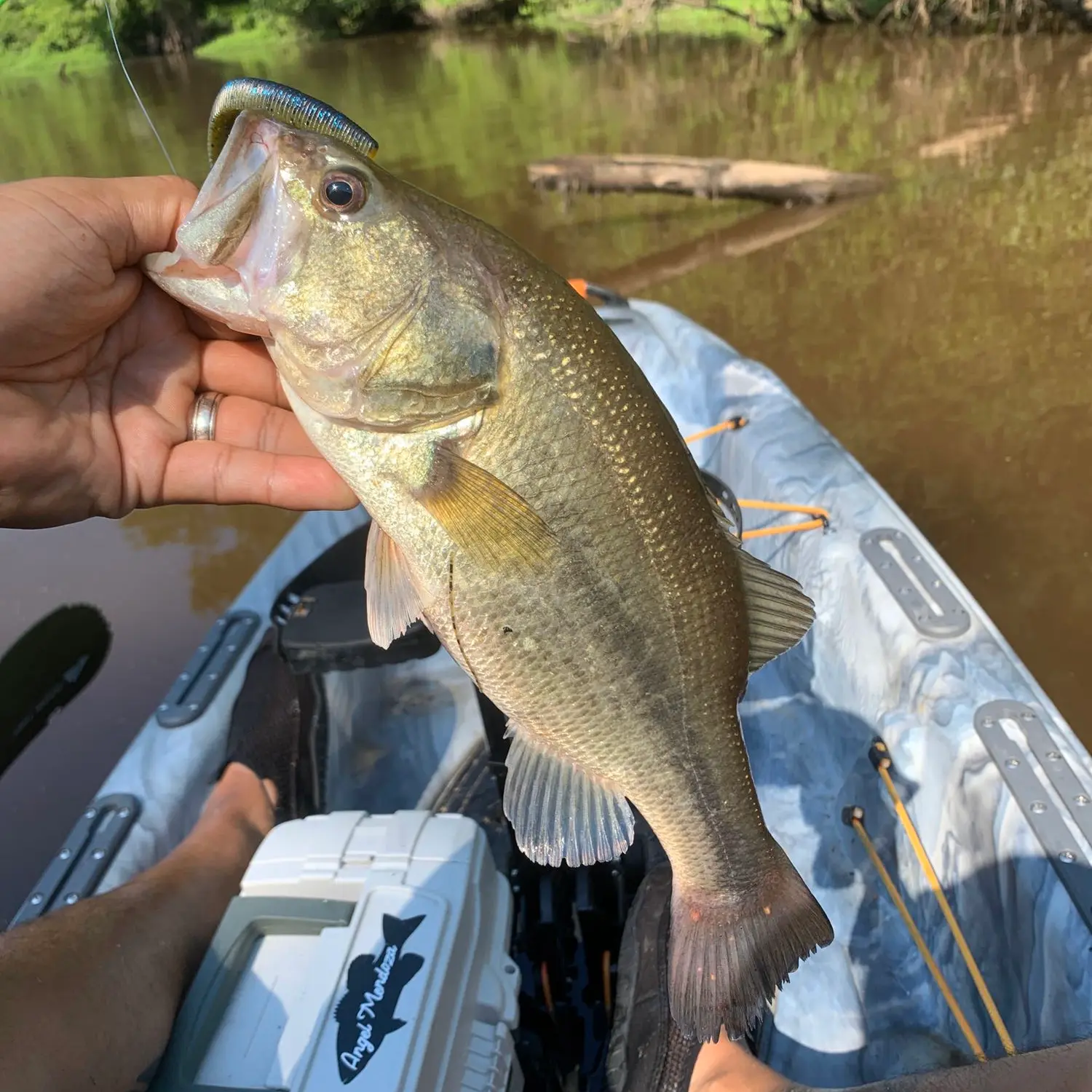 Pruitt Lake fishing report