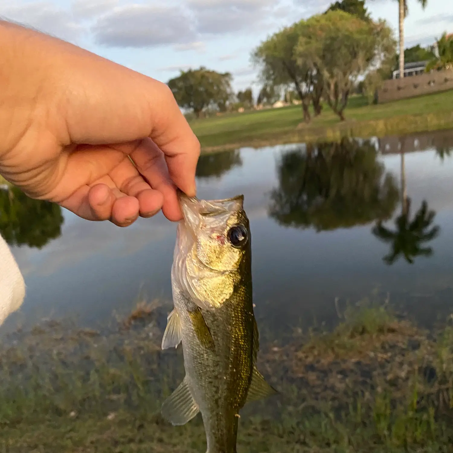 FishingTopic  Florida City FL