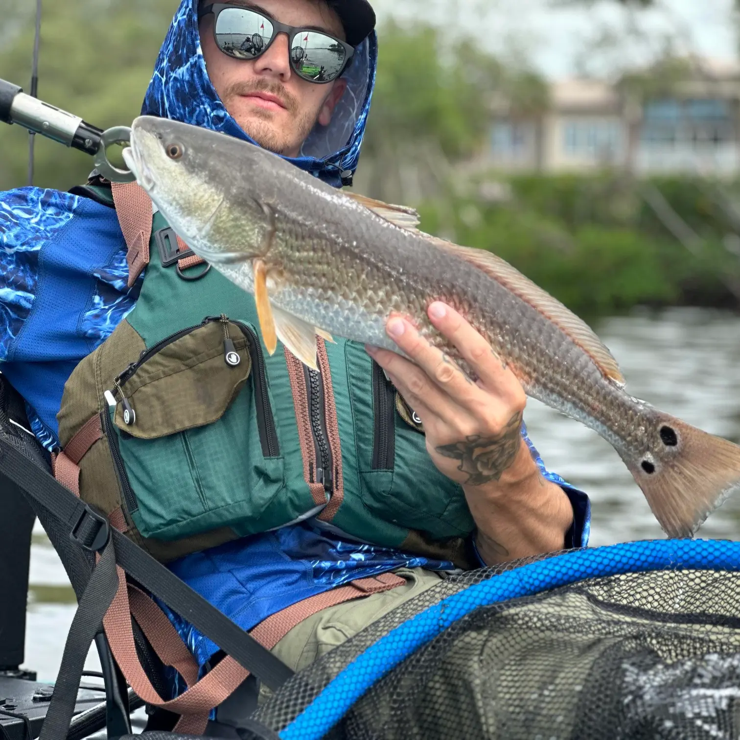 ᐅ Terra Ceia Bay fishing reports🎣• Palmetto, FL (United States) fishing