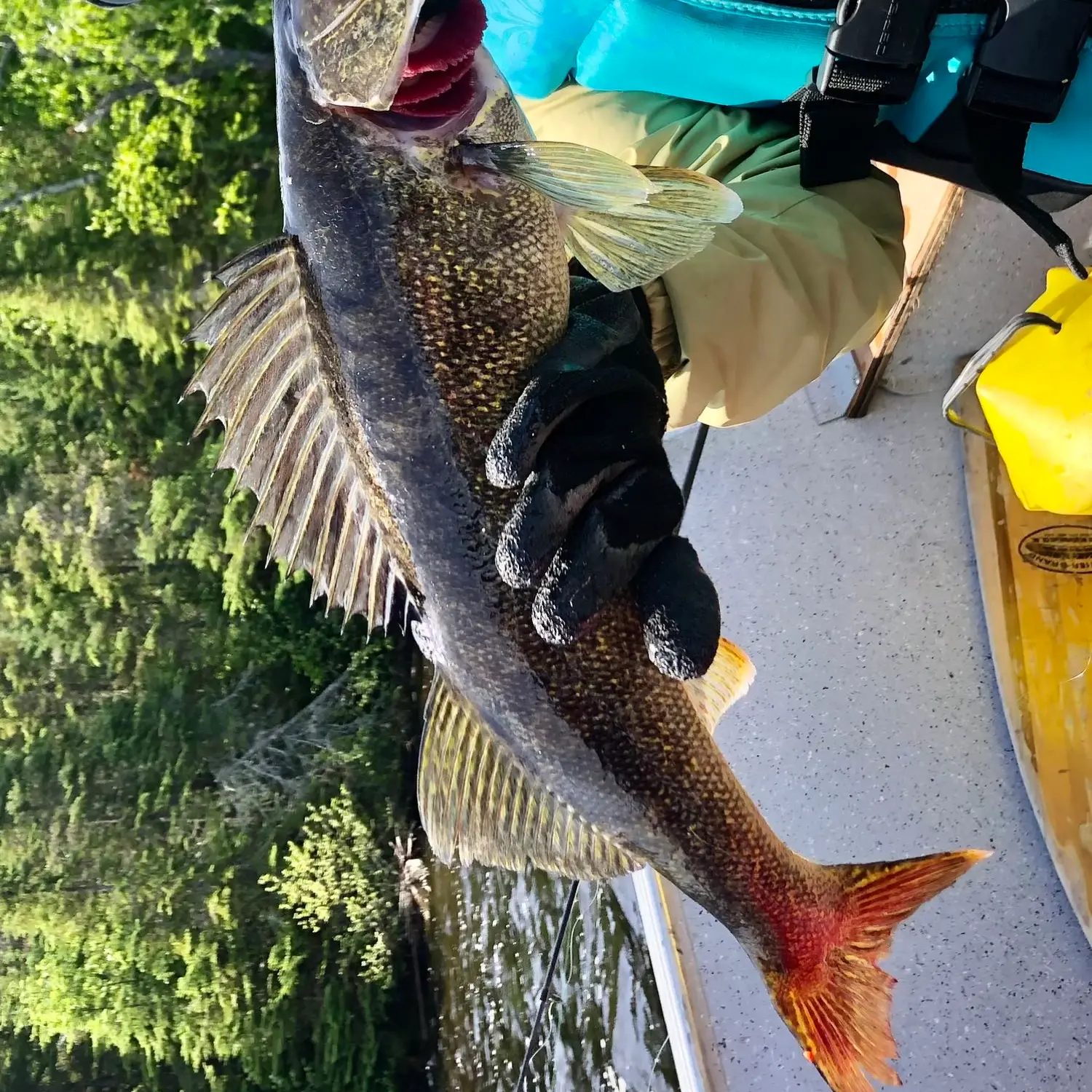 Mille Lacs Lake Braces for Tighter Fishing Restrictions Amid Walleye  Population Decline