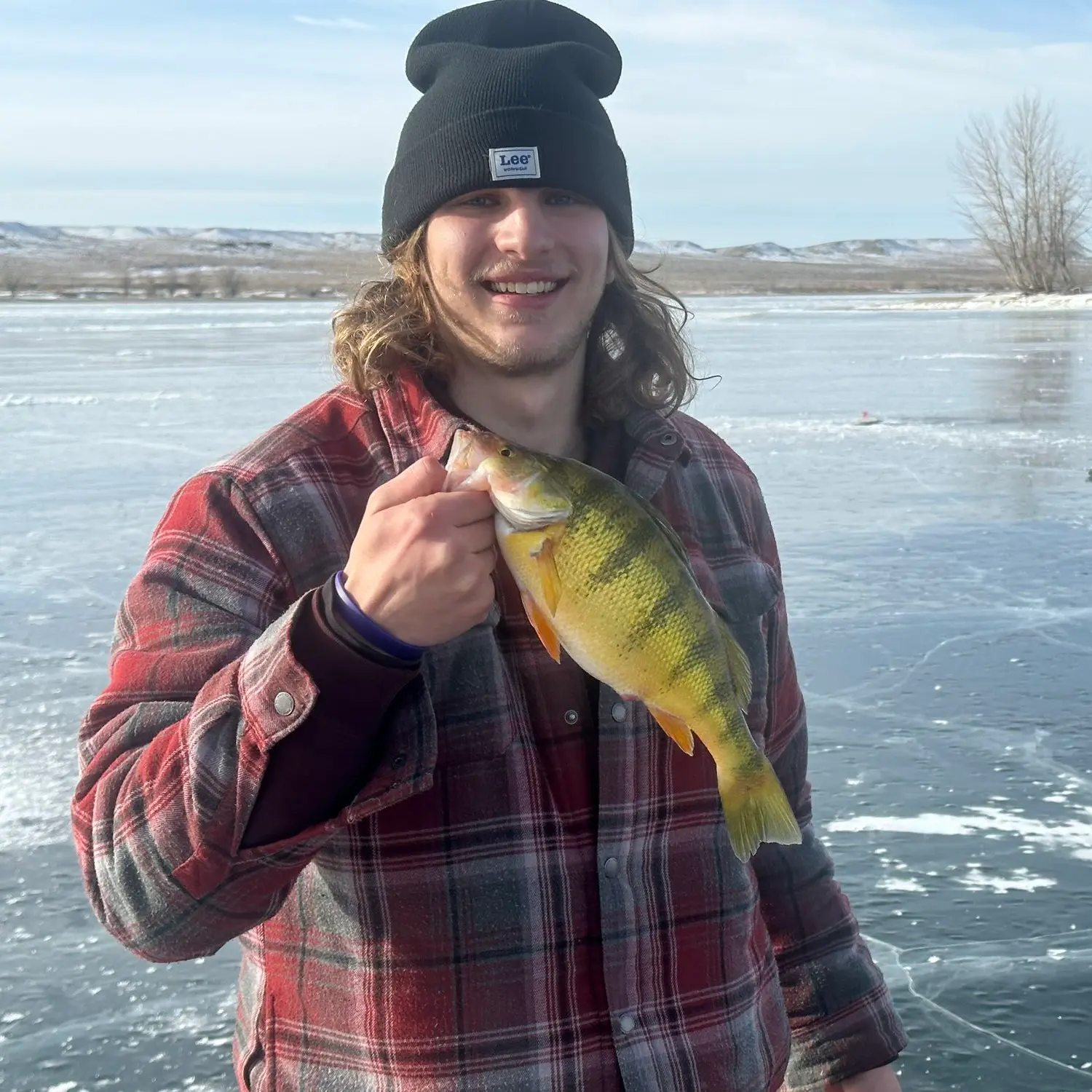 ᐅ Boysen Reservoir fishing reports🎣• Riverton, WY (United States) fishing