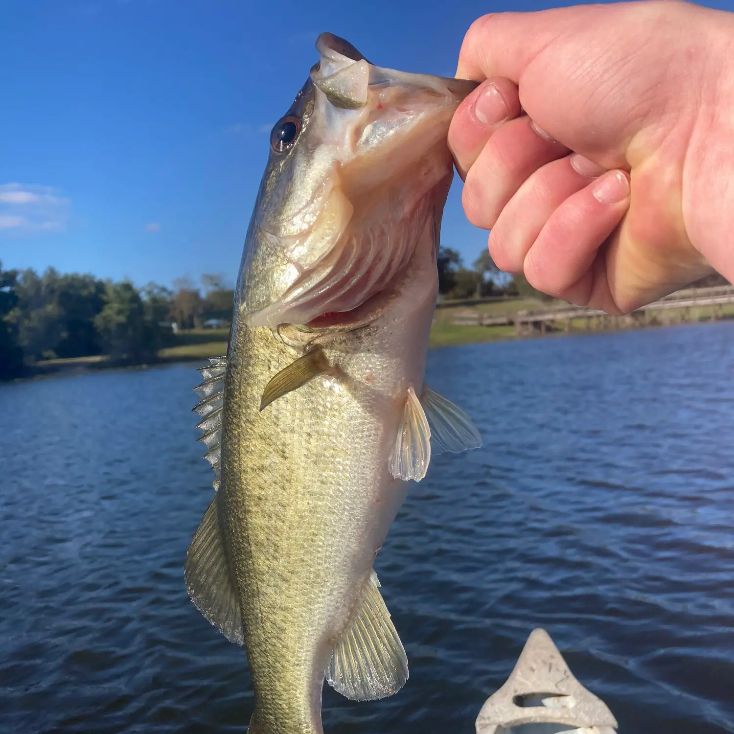 ᐅ McGarity Lake fishing reports🎣• Deltona, FL (United States) fishing