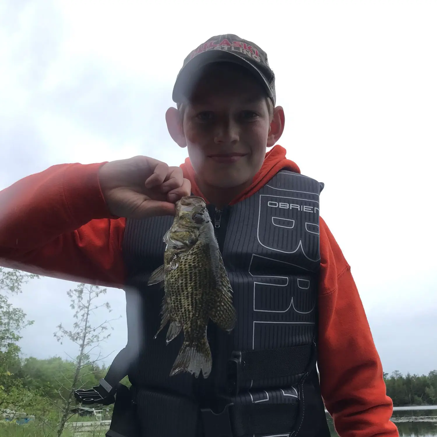 ᐅ Trump Lake fishing reports🎣• Iron Mountain, WI (United States) fishing