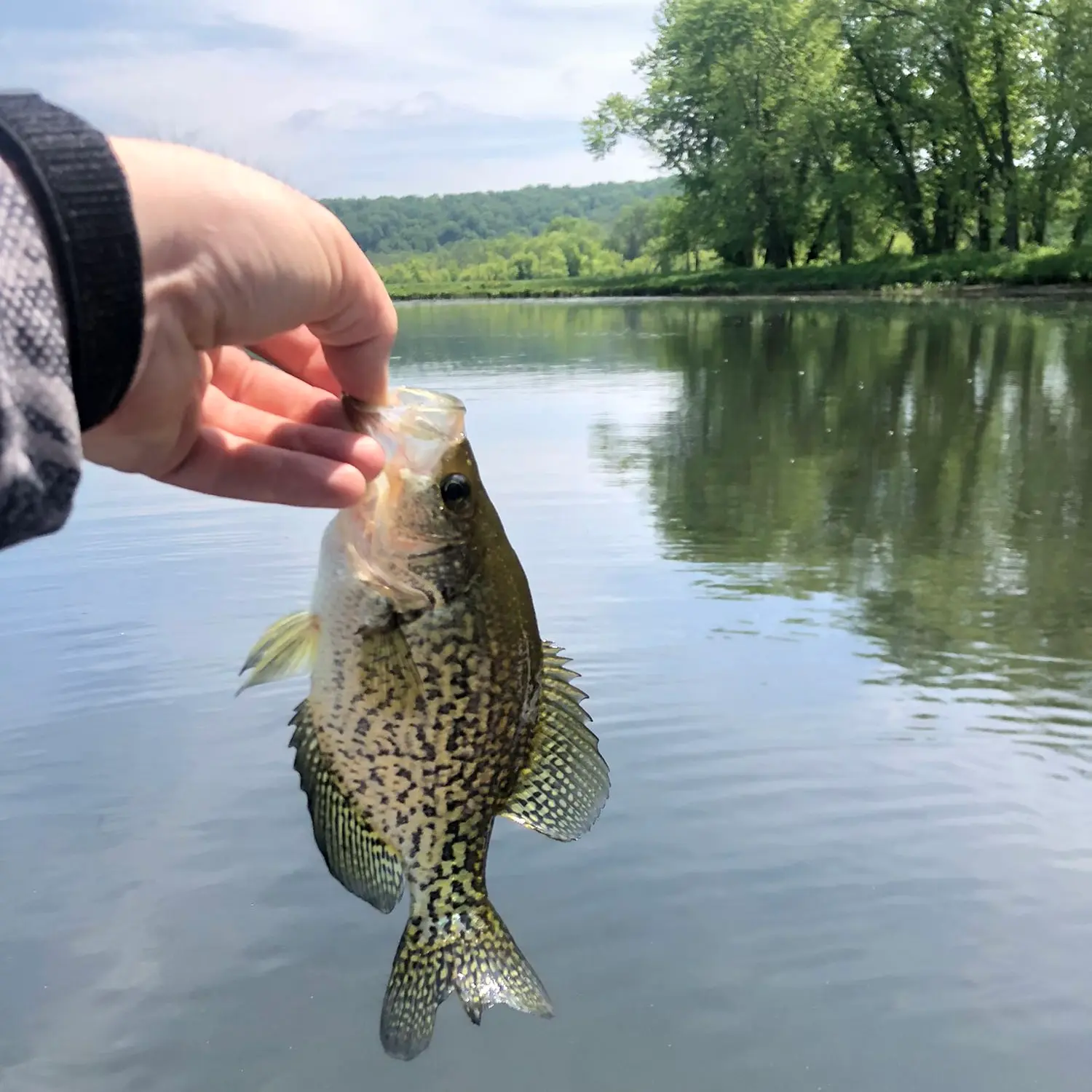 ᐅ Pecausett Pond fishing reports🎣• Middletown, CT (United States) fishing