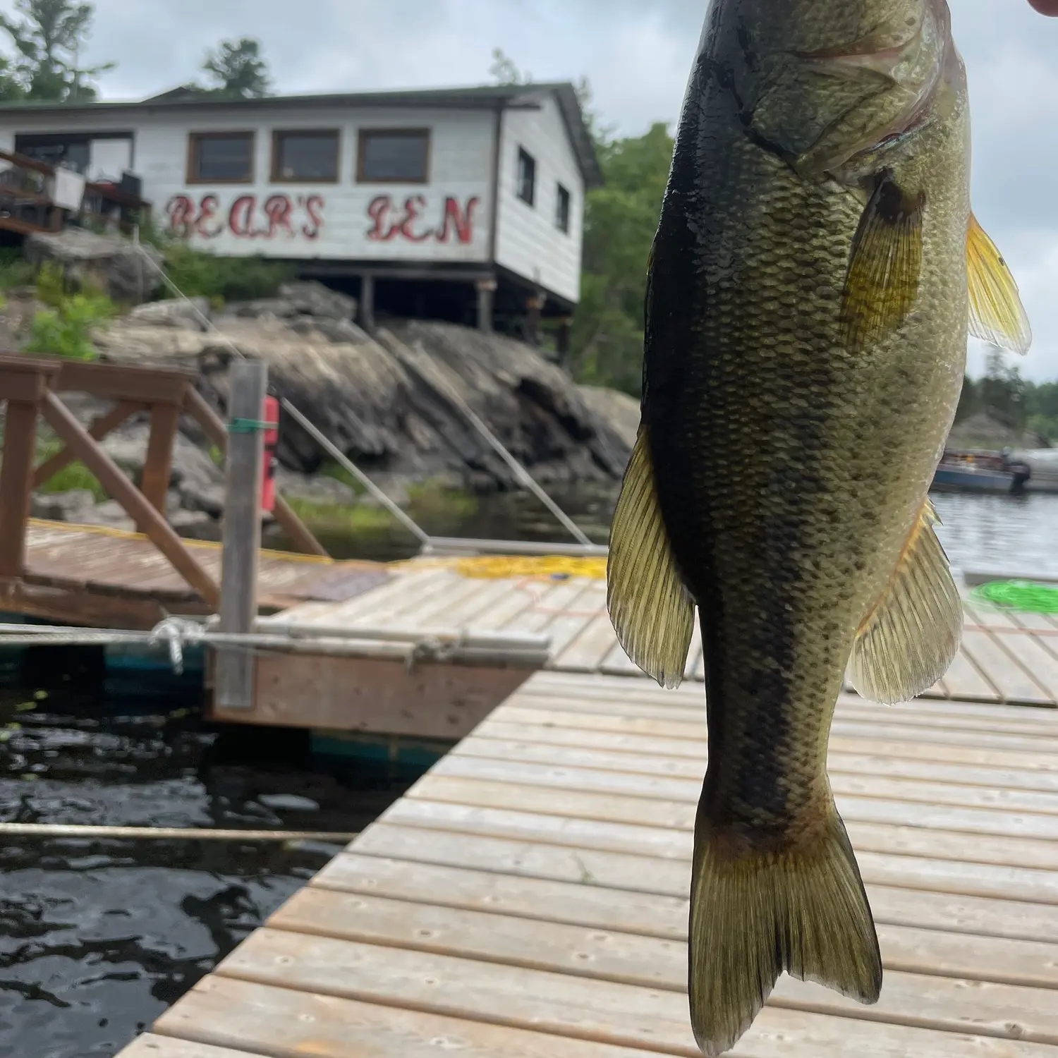 ᐅ French River fishing reports🎣• Ontario, Canada fishing