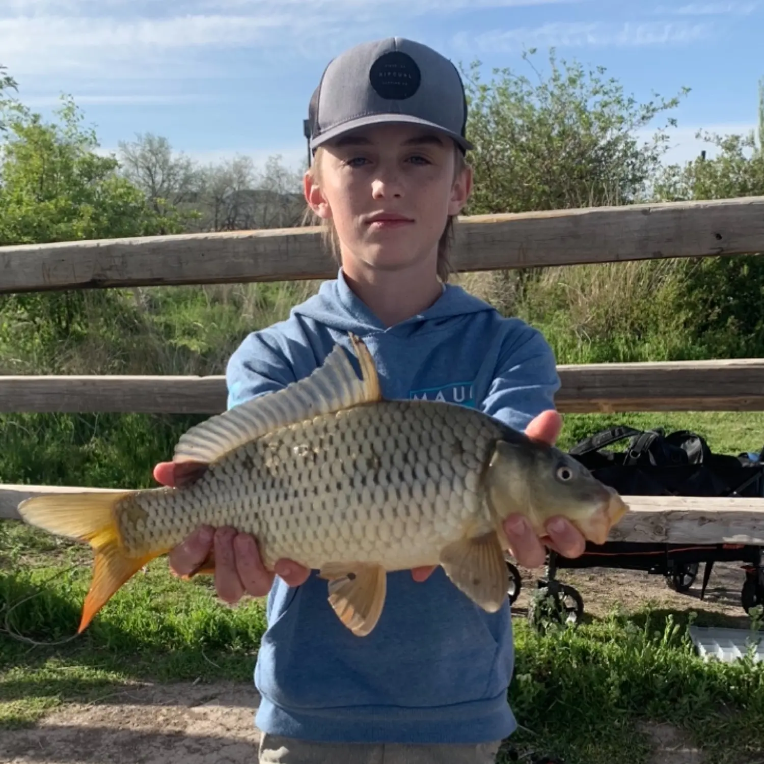 ᐅ jensen nature park/pond fishing reports🎣• Syracuse fishing