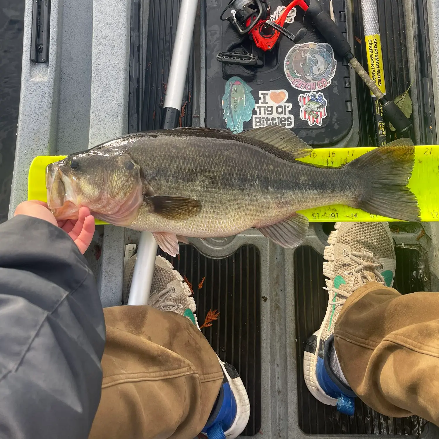 ᐅ Lake Cassidy fishing reports🎣• Lake Stevens, WA (United States) fishing