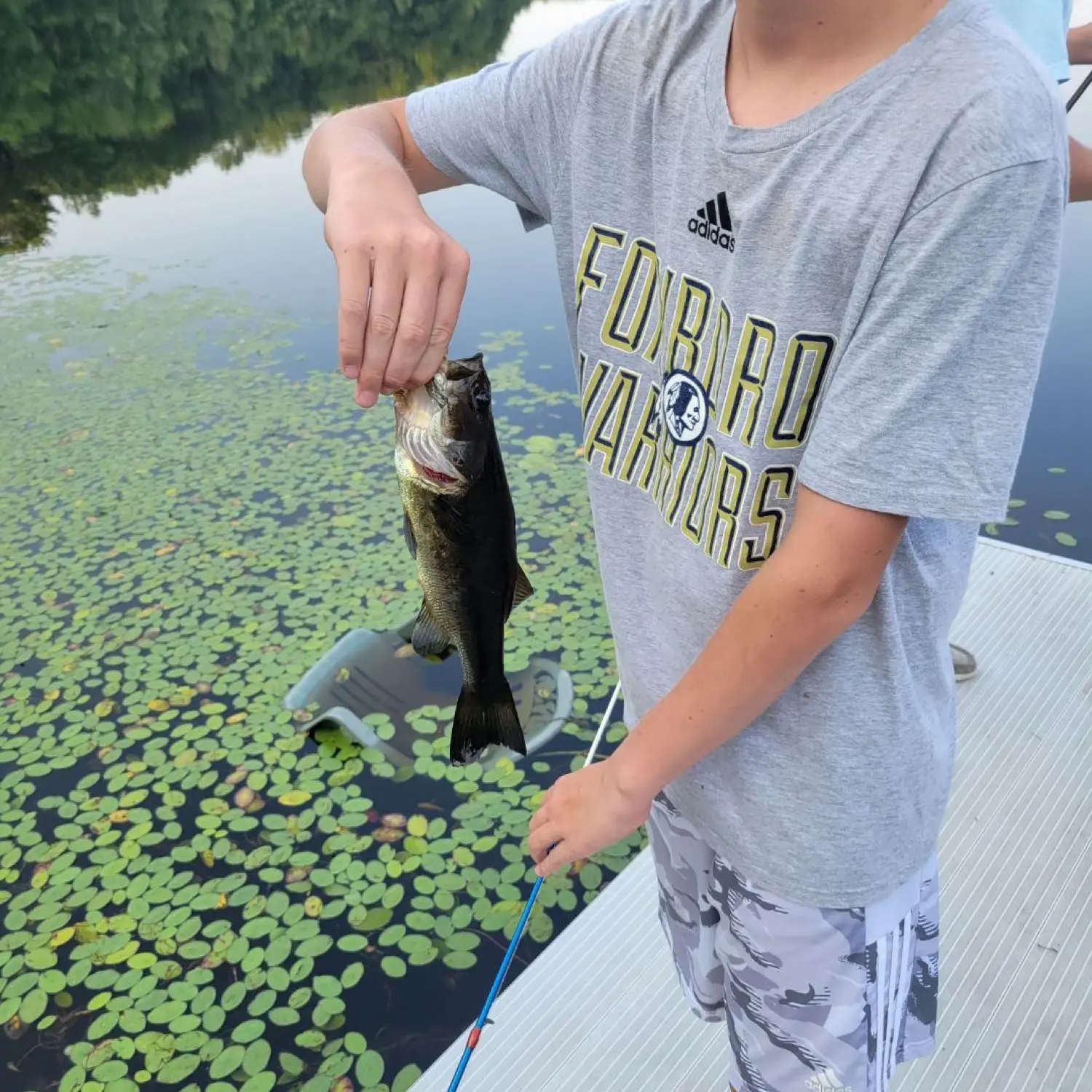 Beaumont Pond fishing reports Foxborough MA United States