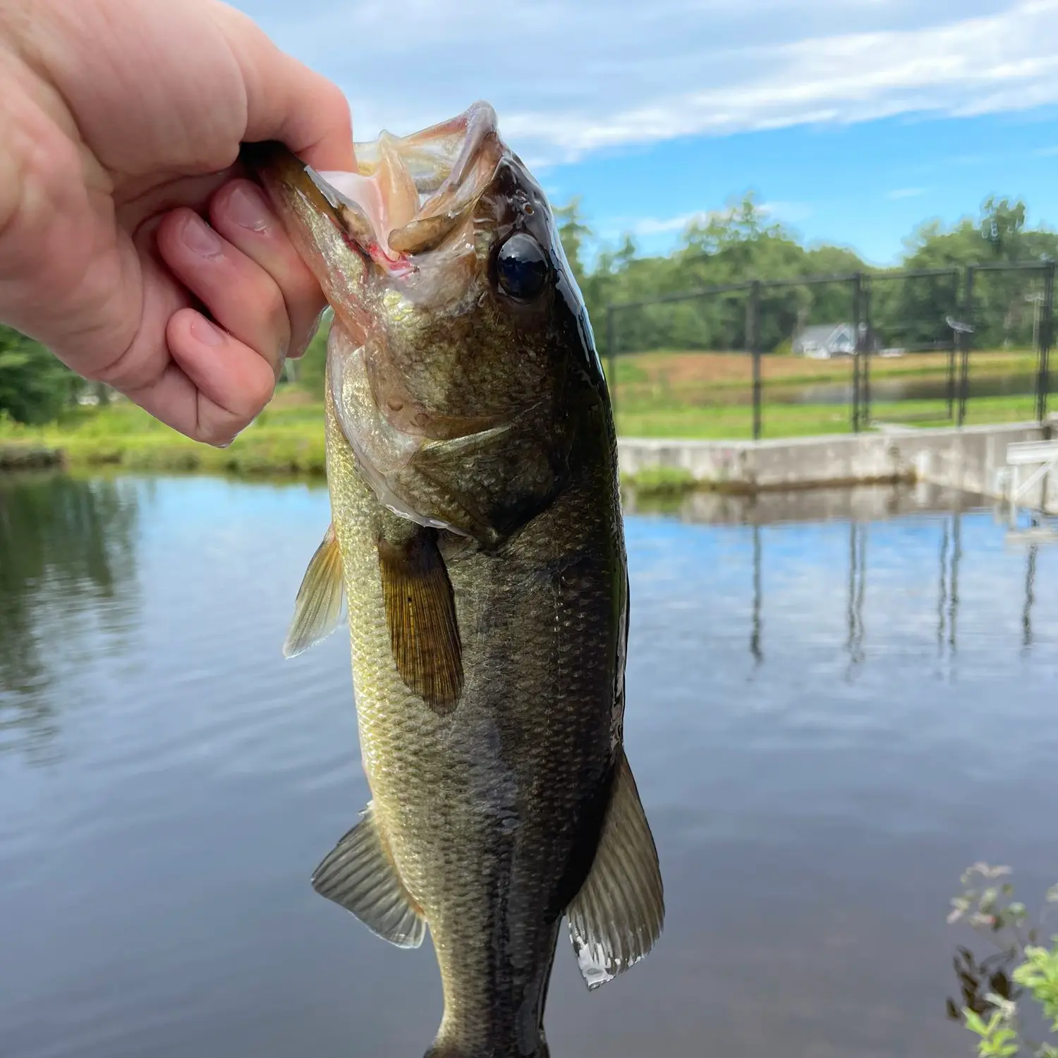 ᐅ Upper Westboro Reservoir Fishing Reports🎣• Westborough, Ma (united 