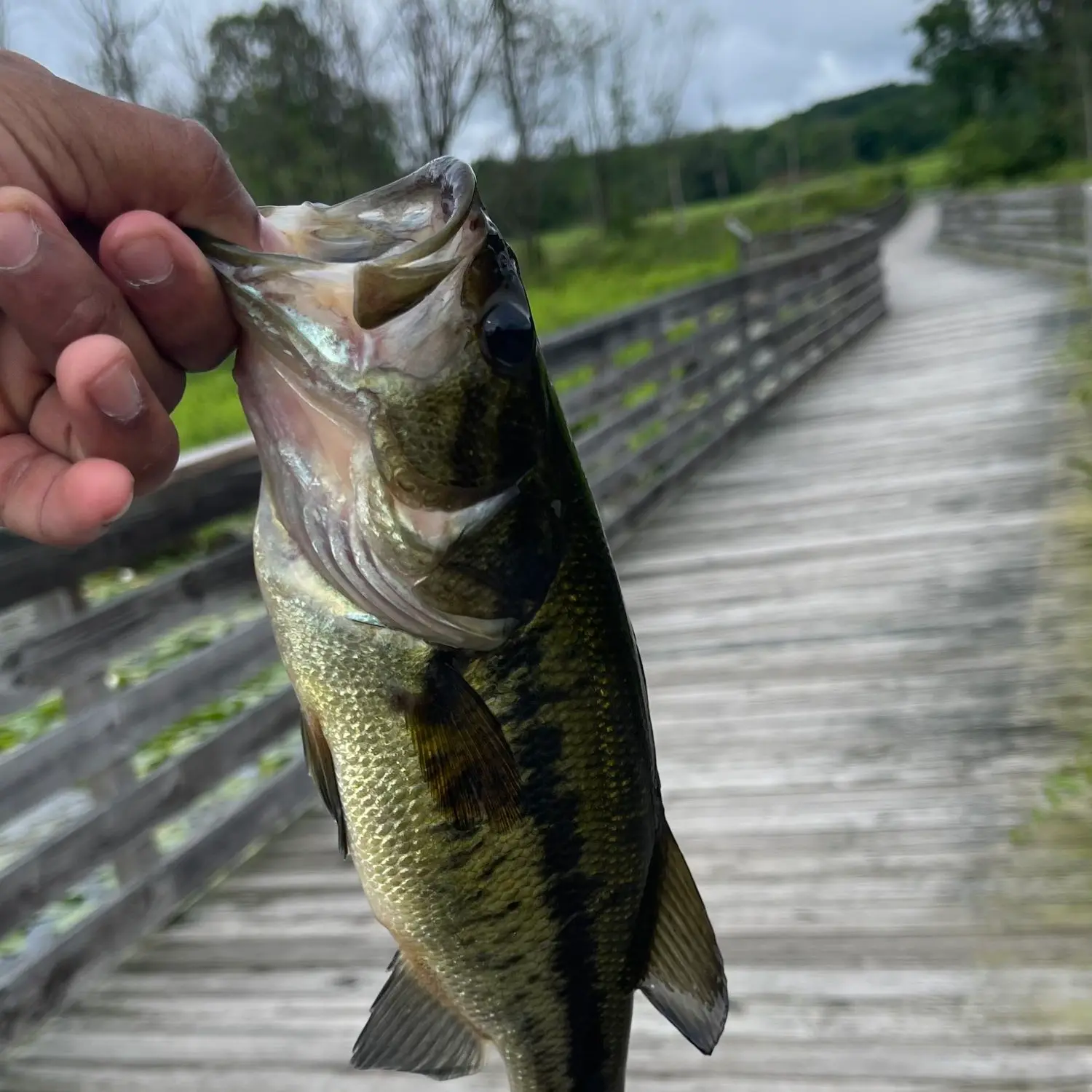 ᐅ Saratoga Lake fishing reports🎣• Malta, NY (United States) fishing