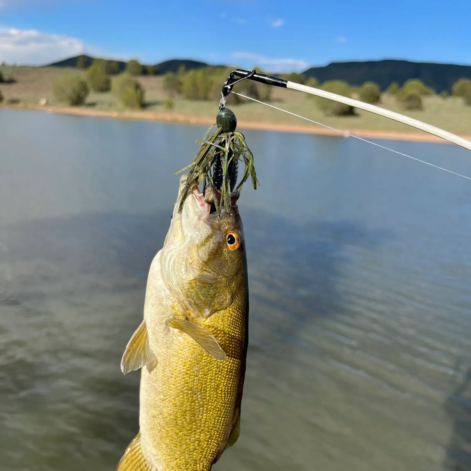 ᐅ Lower Enterprise Reservoir fishing reports🎣• Washington, UT (United ...