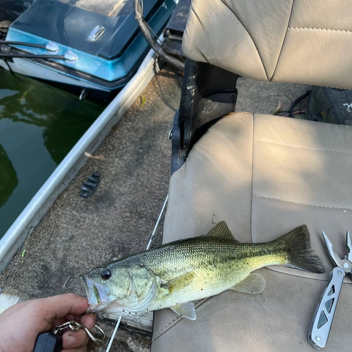 ᐅ Laurel Hill Lake fishing reports🎣• Lawrenceburg, TN (United States ...