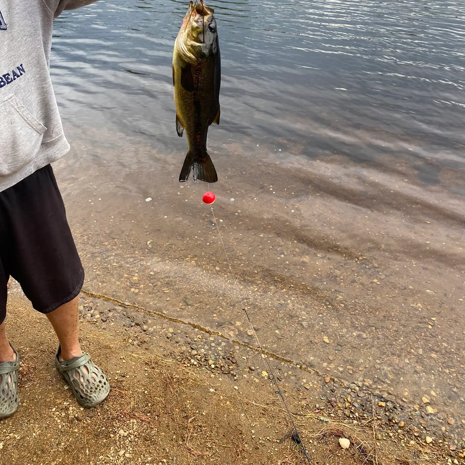 ᐅ Harrisburg Lake fishing reports🎣• Queensbury, NY (United States) fishing