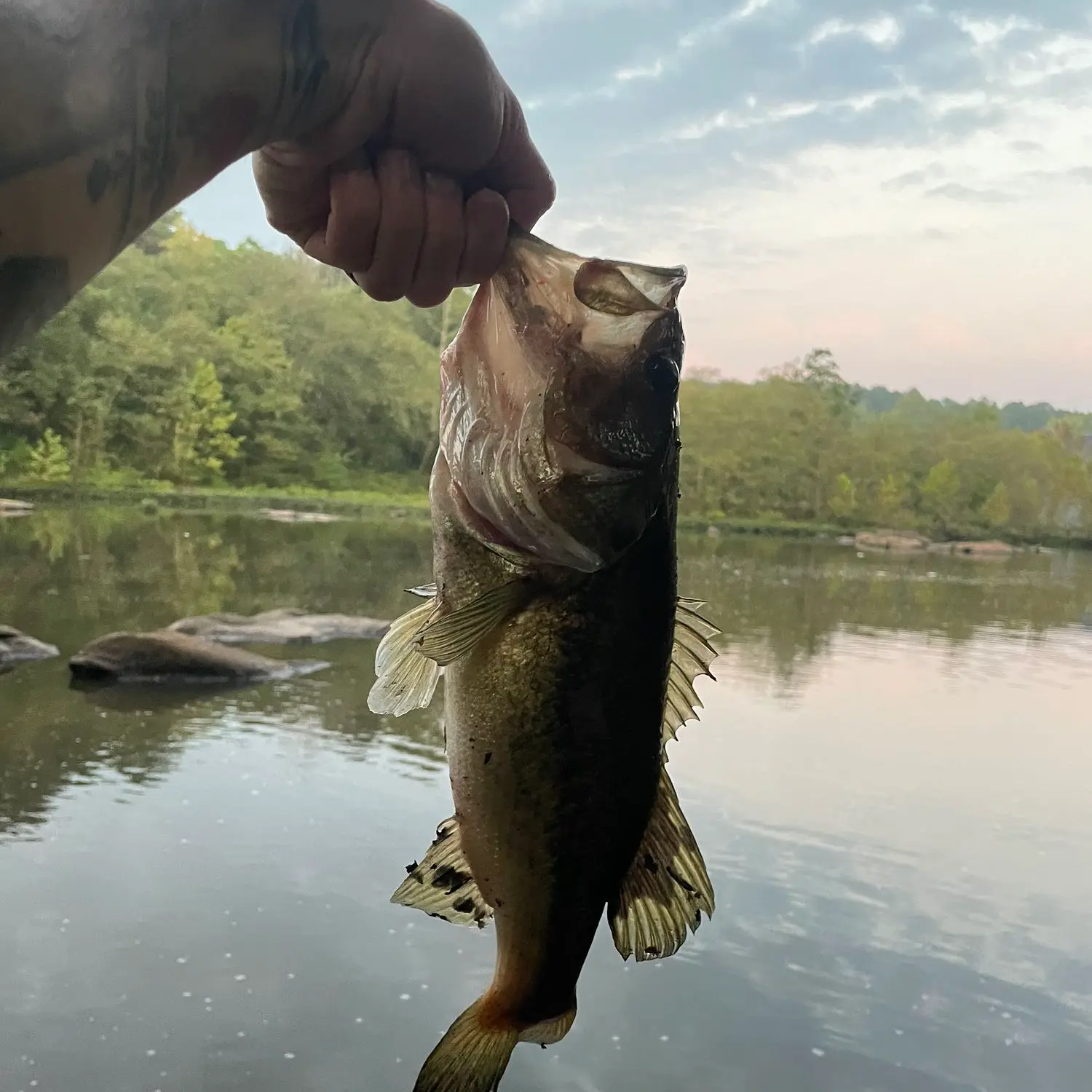 Anyone enjoy fishing? (Here's a few photos from Lake Chesdin