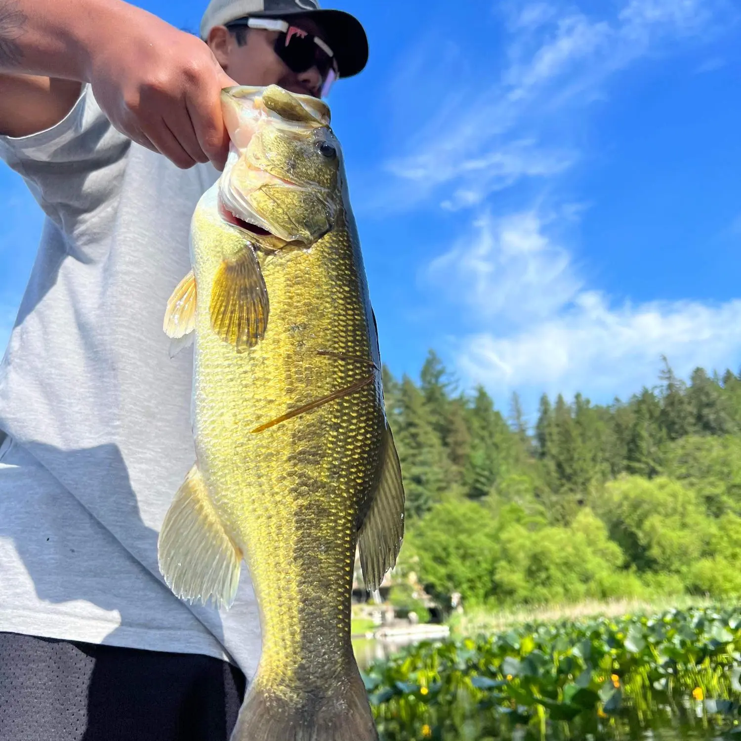 ᐅ Prospect Lake Fishing Reports🎣• Port Angeles, British Columbia 