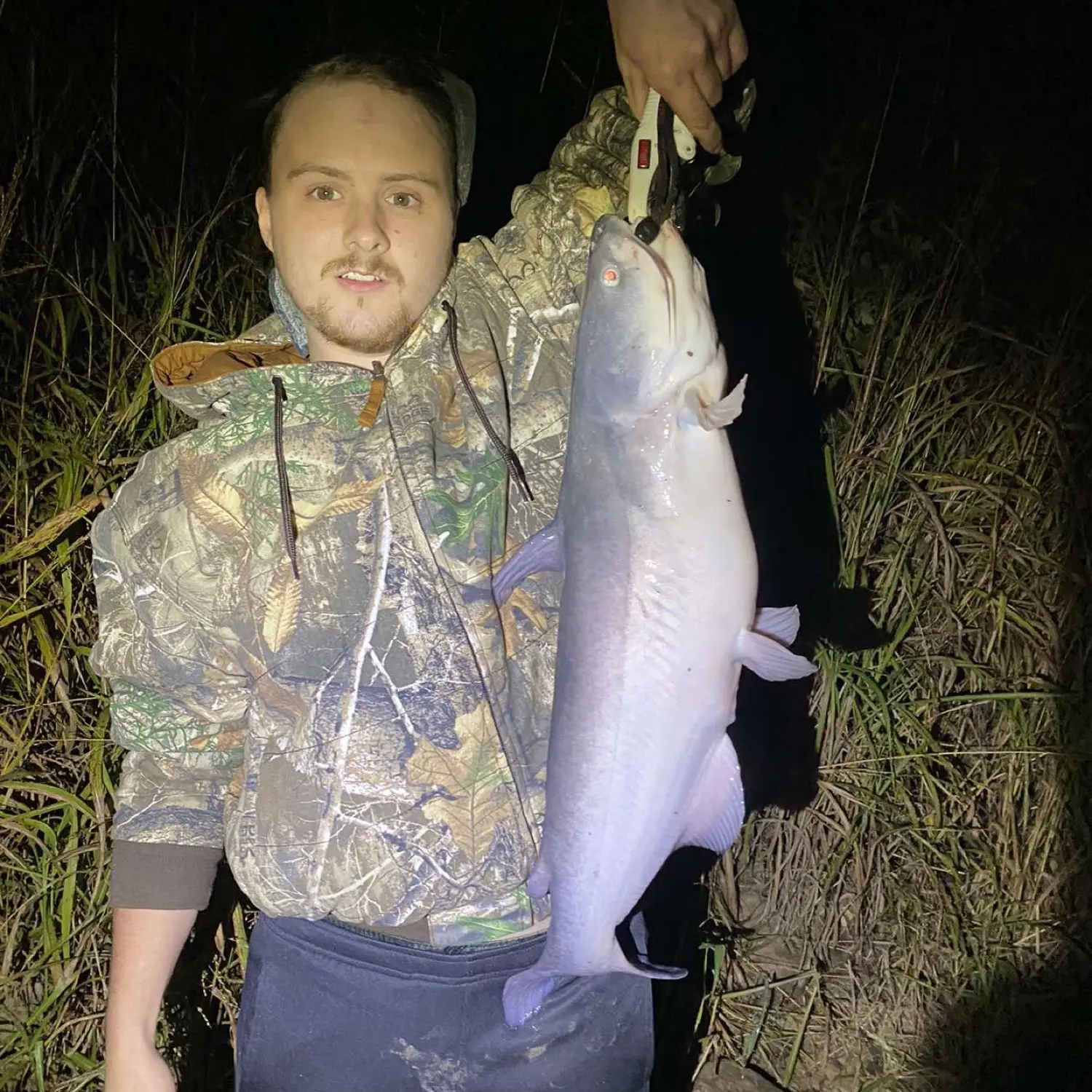 ᐅ Anderson River fishing reports🎣• Owensboro, IN (United States