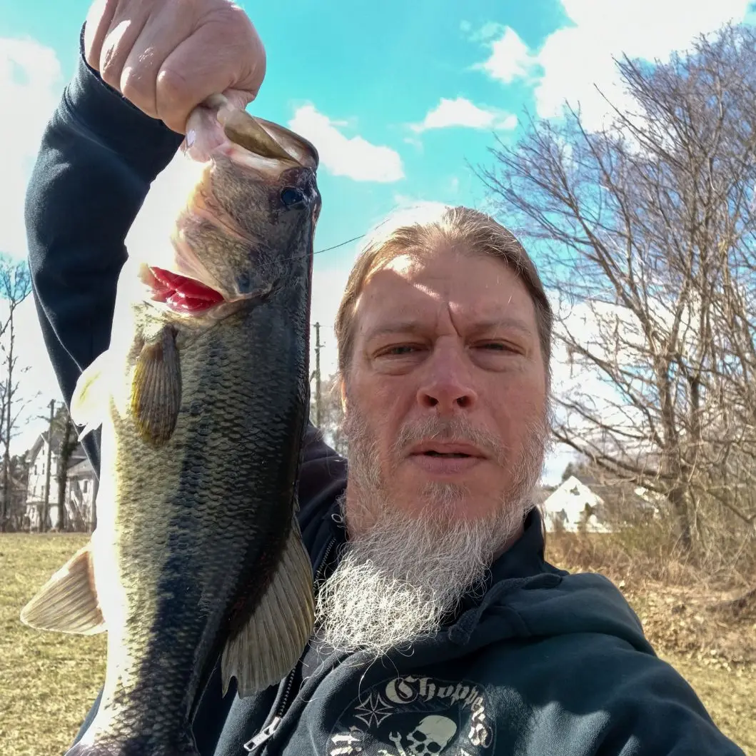 Hanover Pond CT Fishing Reports, Maps & Hot Spots