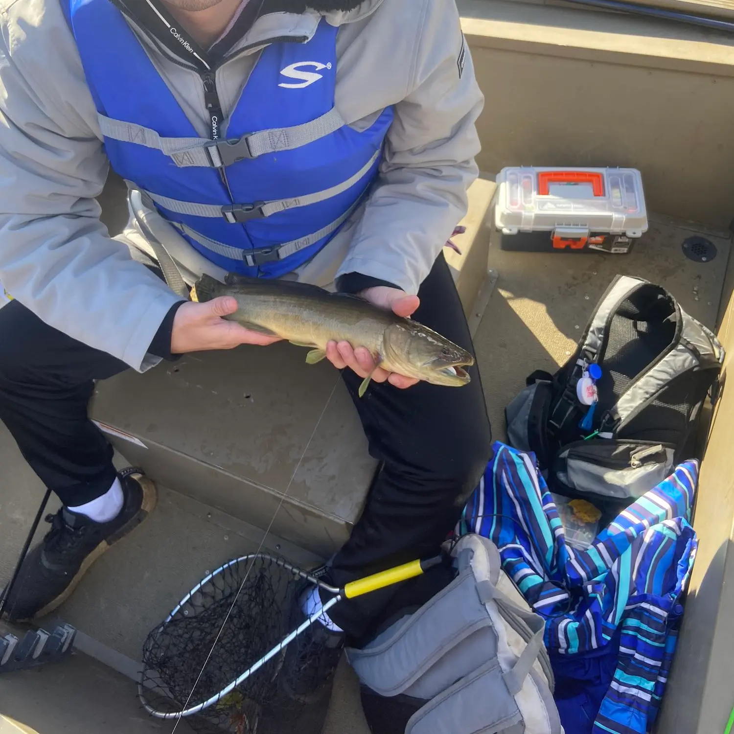 ᐅ Connecticut River Reservoir fishing reports🎣• Enfield, CT