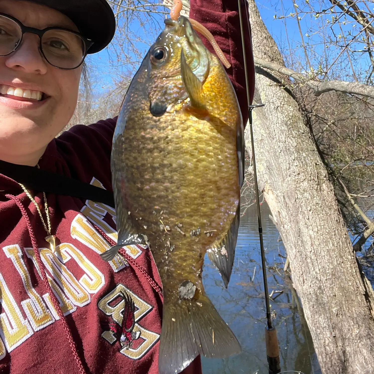 ᐅ Shackamaxon Lake fishing reports🎣• Scotch Plains, NJ (United States)  fishing