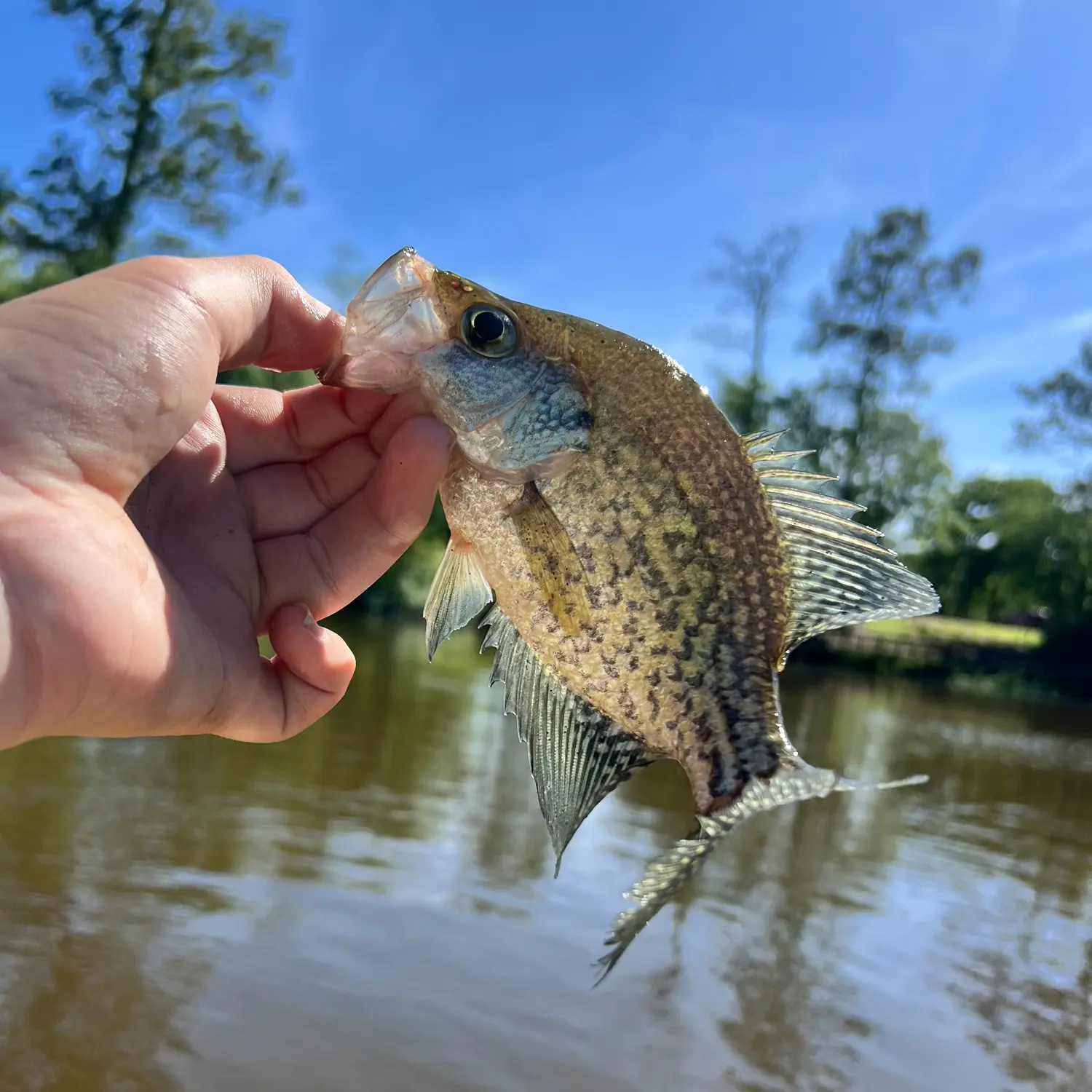 Fishing at the Gâtineaux pond