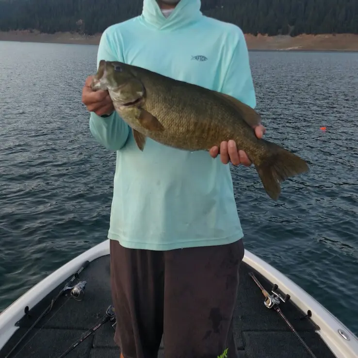 ᐅ Canyon Creek Lakes fishing reports🎣• Redding, CA (United States) fishing