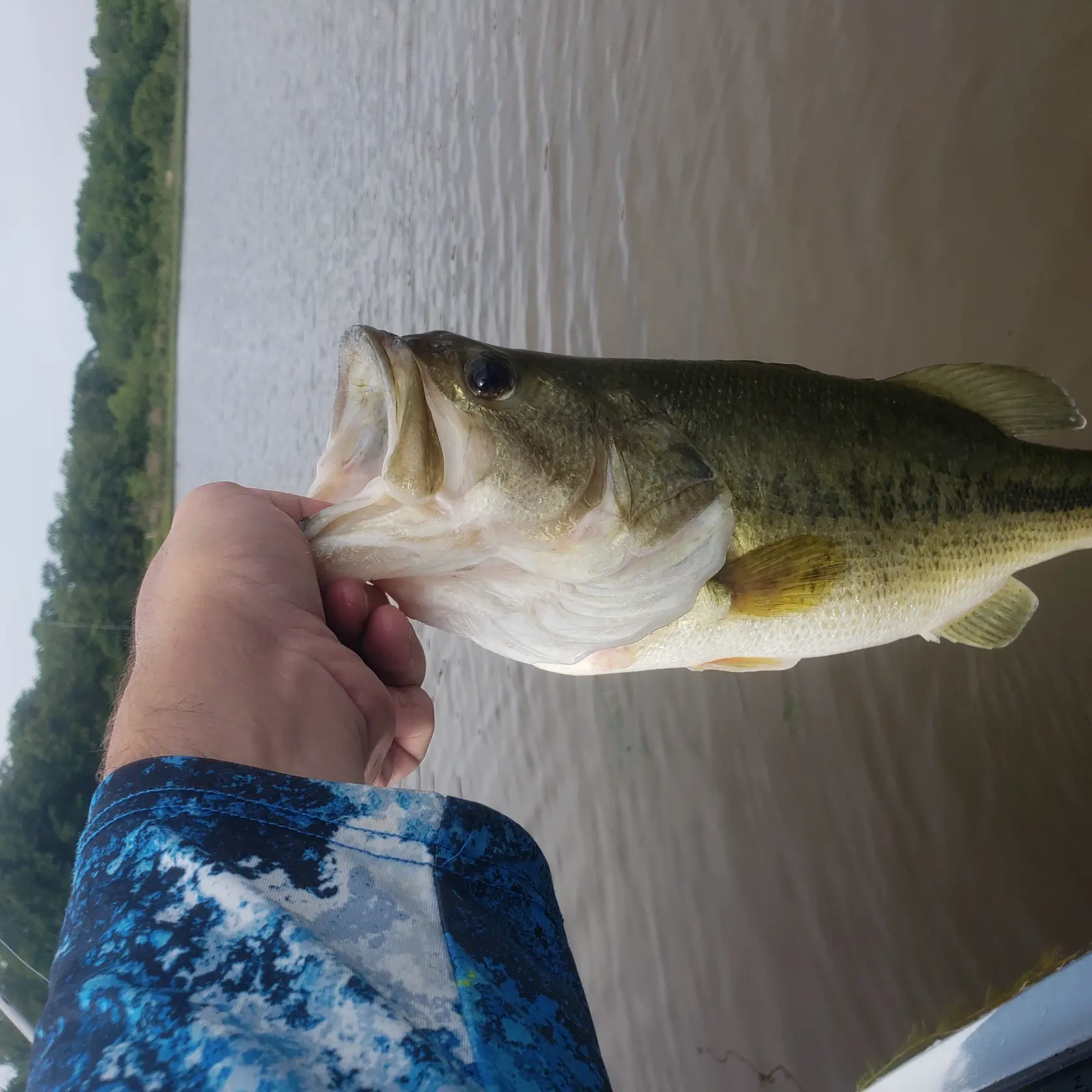 ᐅ Dahlgren Lake fishing reports🎣• Norman, OK (United States) fishing