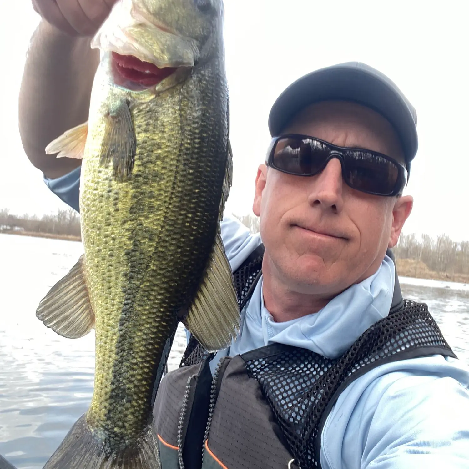 ᐅ Creve Coeur Lake fishing reports🎣• Maryland Heights, MO (United ...