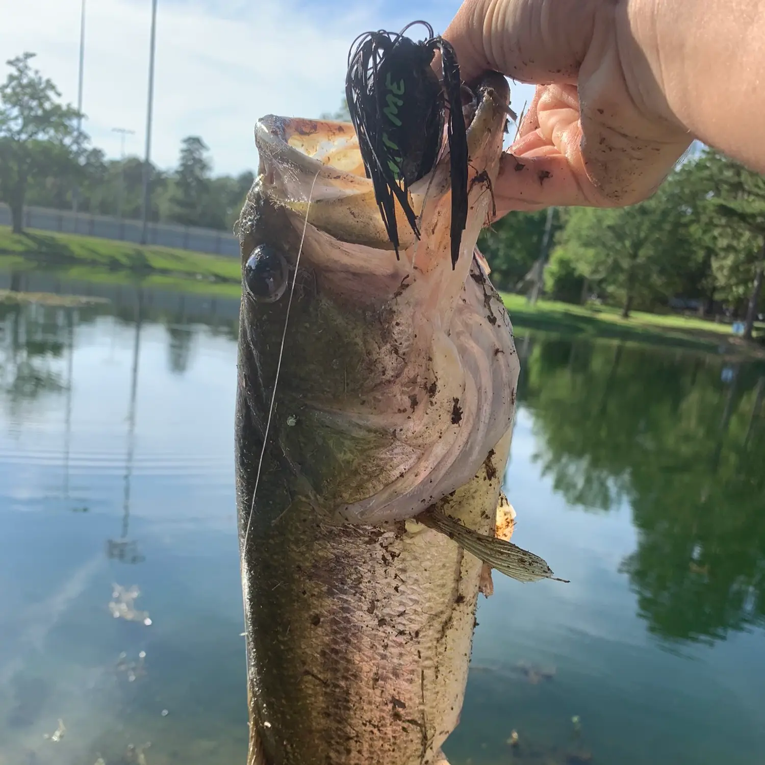 ᐅ Lucas Pond fishing reports🎣• Bastrop, AR (United States) fishing