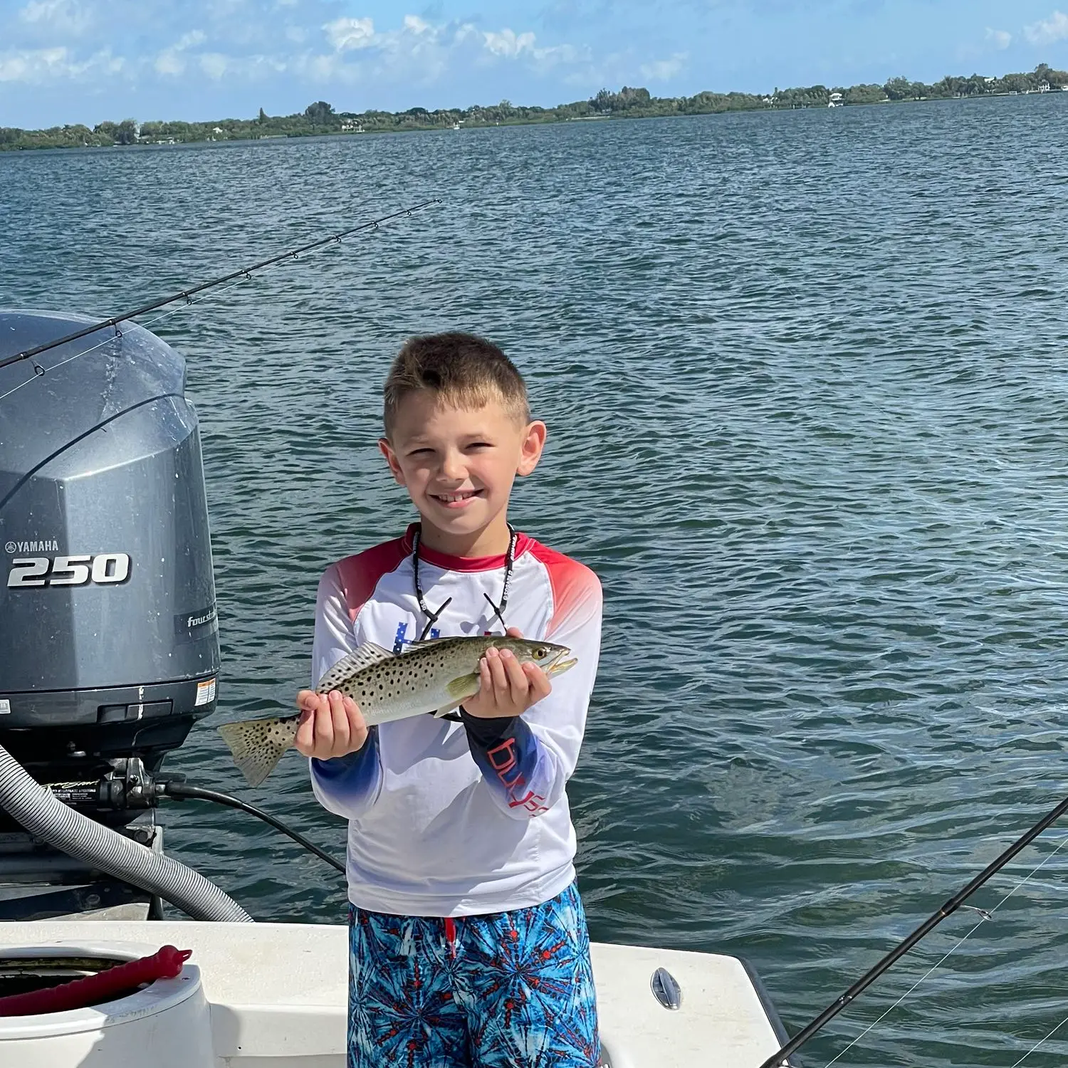 ᐅ Terra Ceia Bay fishing reports🎣• Palmetto, FL (United States) fishing