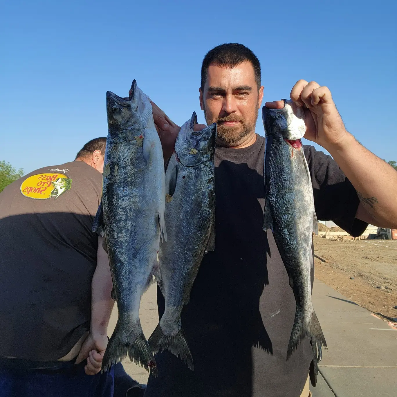 ᐅ Thermalito Diversion Pool Fishing Reports🎣• Oroville, CA (United ...