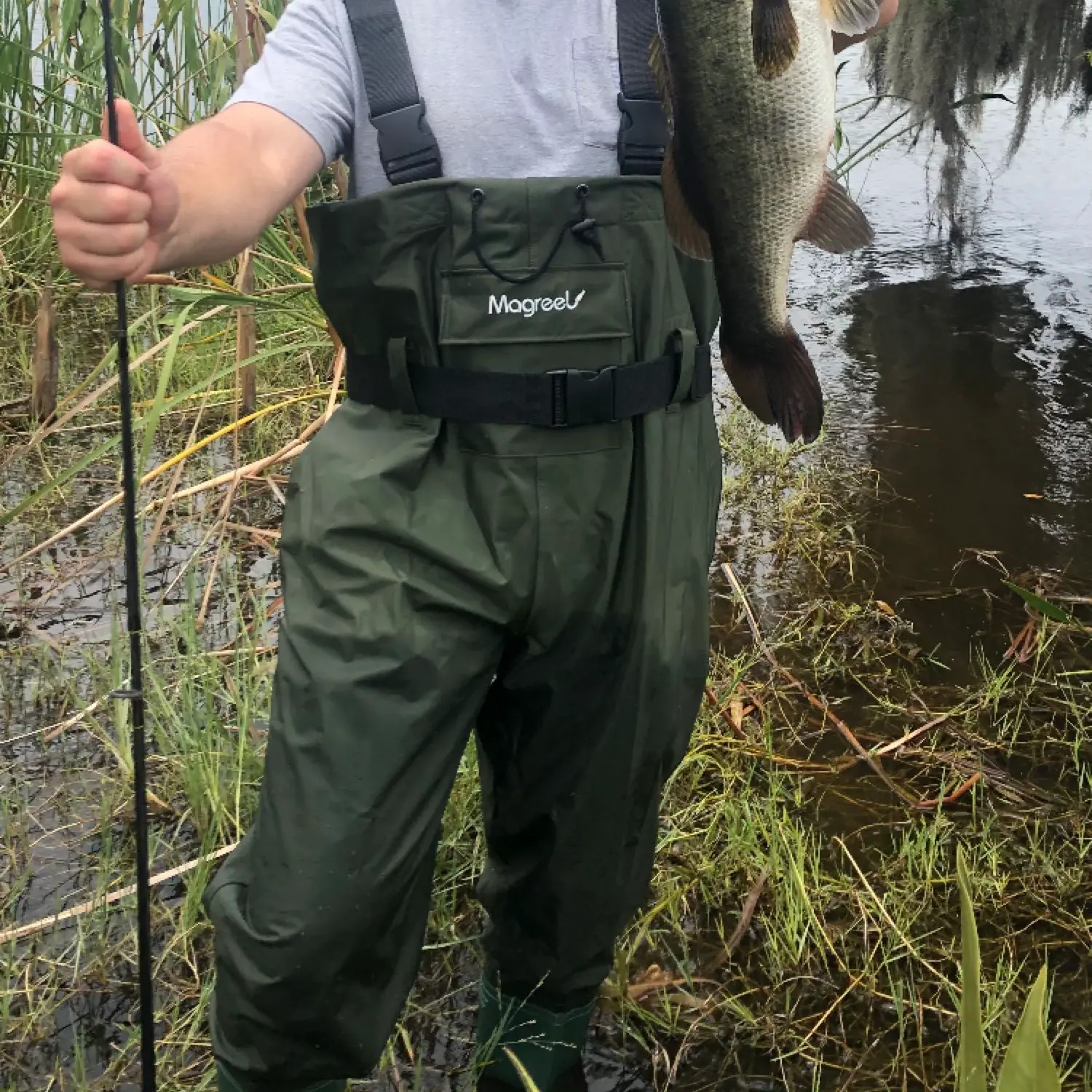 ᐅ Lake Link fishing reports🎣• Winter Haven, FL (United States