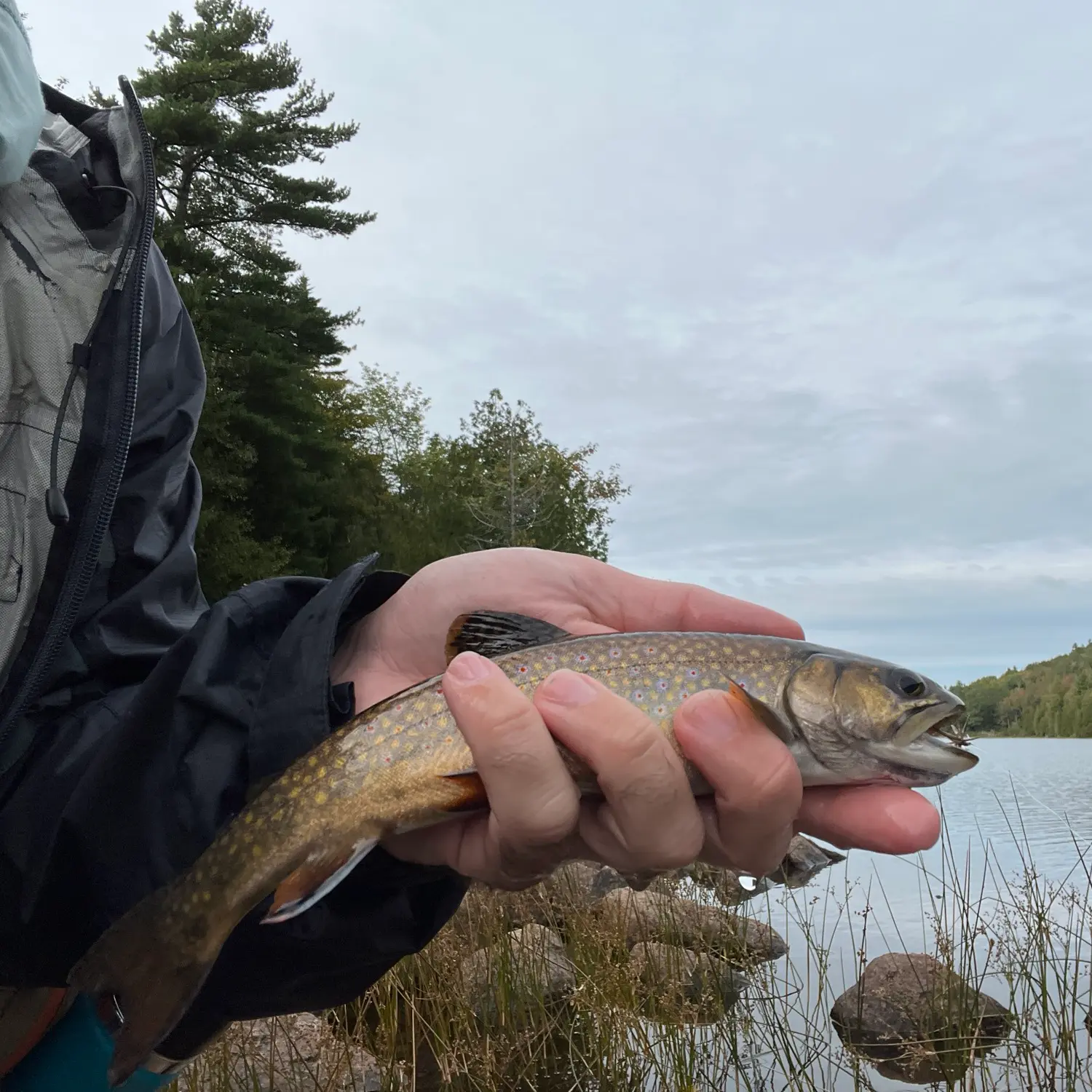 Fishing for brook trout on Bubble Pond in Acadia National Park on