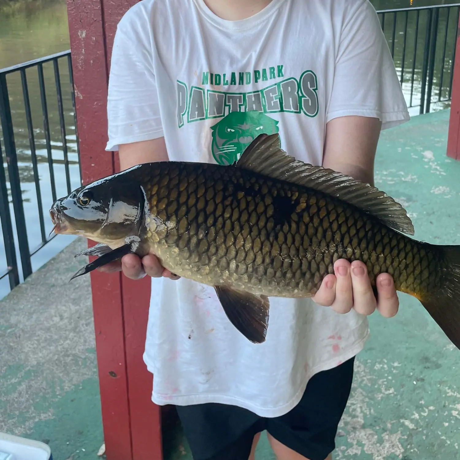 ᐅ Cooper Pond fishing reports🎣• Bergenfield, NJ (United States