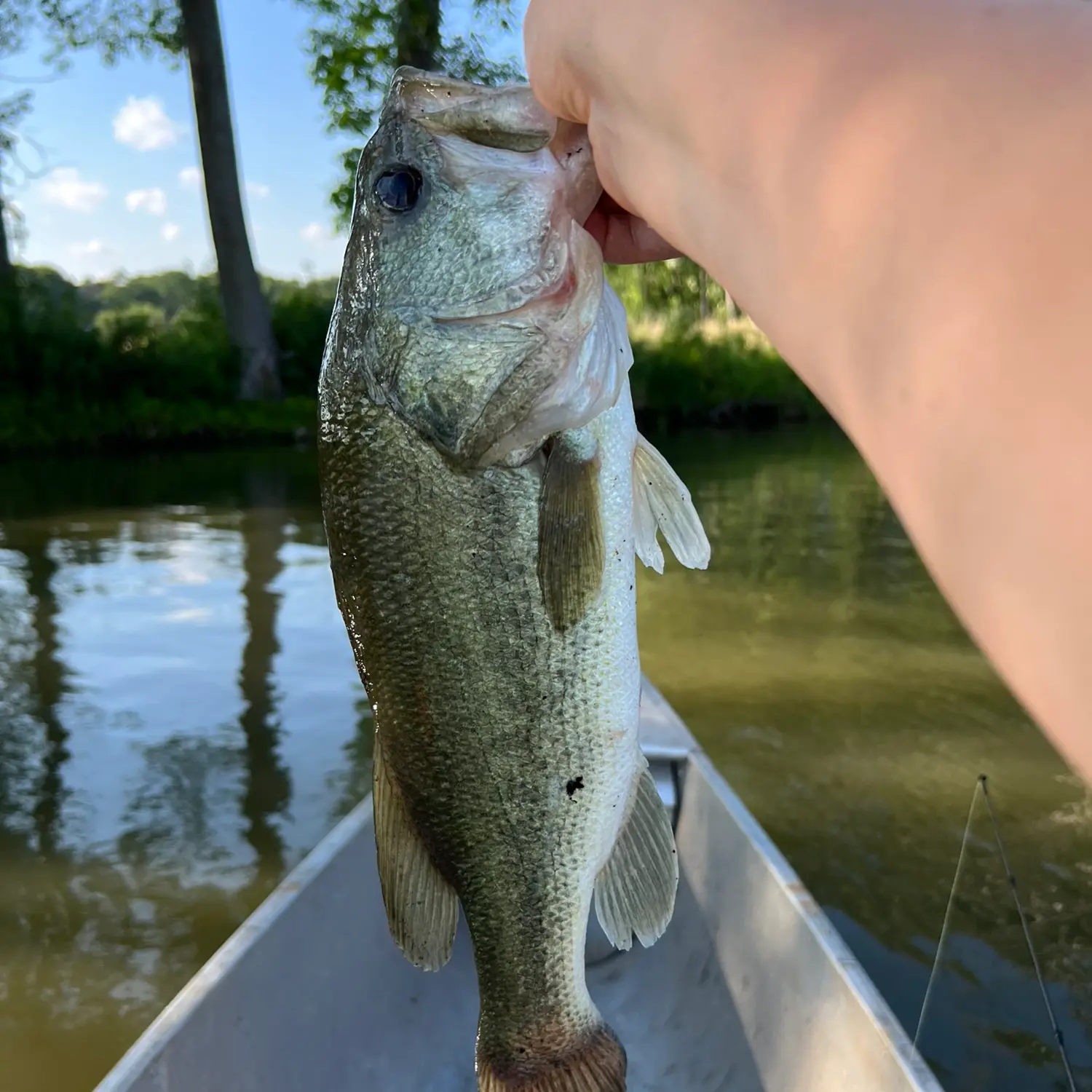 ᐅ Hawley Lake fishing reports🎣• Hoffman Estates, IL (United States) fishing