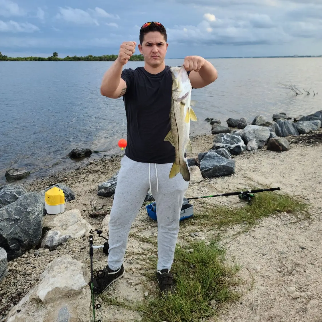 ᐅ Peacocks Pocket fishing reports🎣• Titusville, FL (United States) fishing