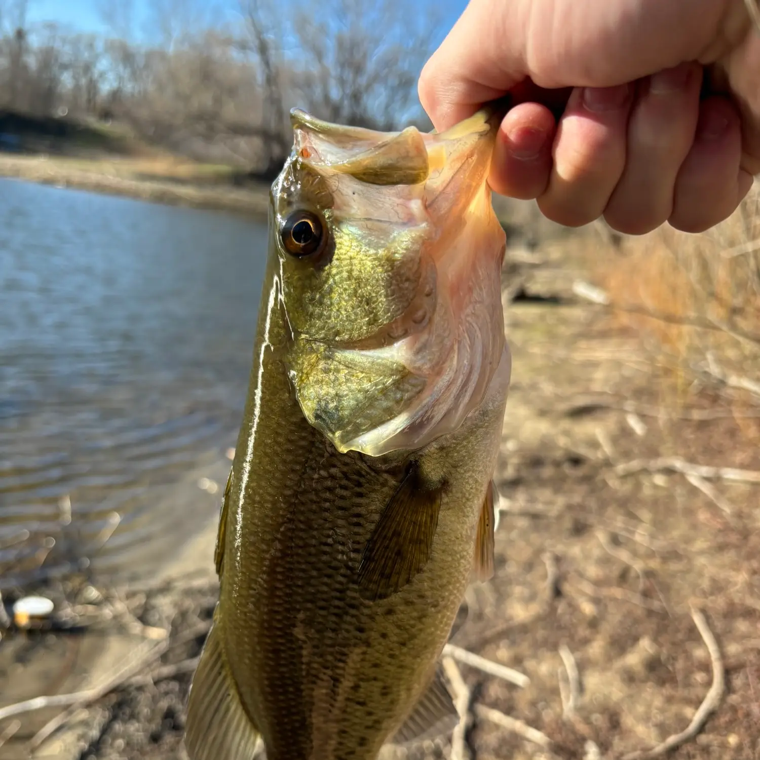 George Wyth Lake Fishing Report for Largemouth Bass(Sep 5, 2021)