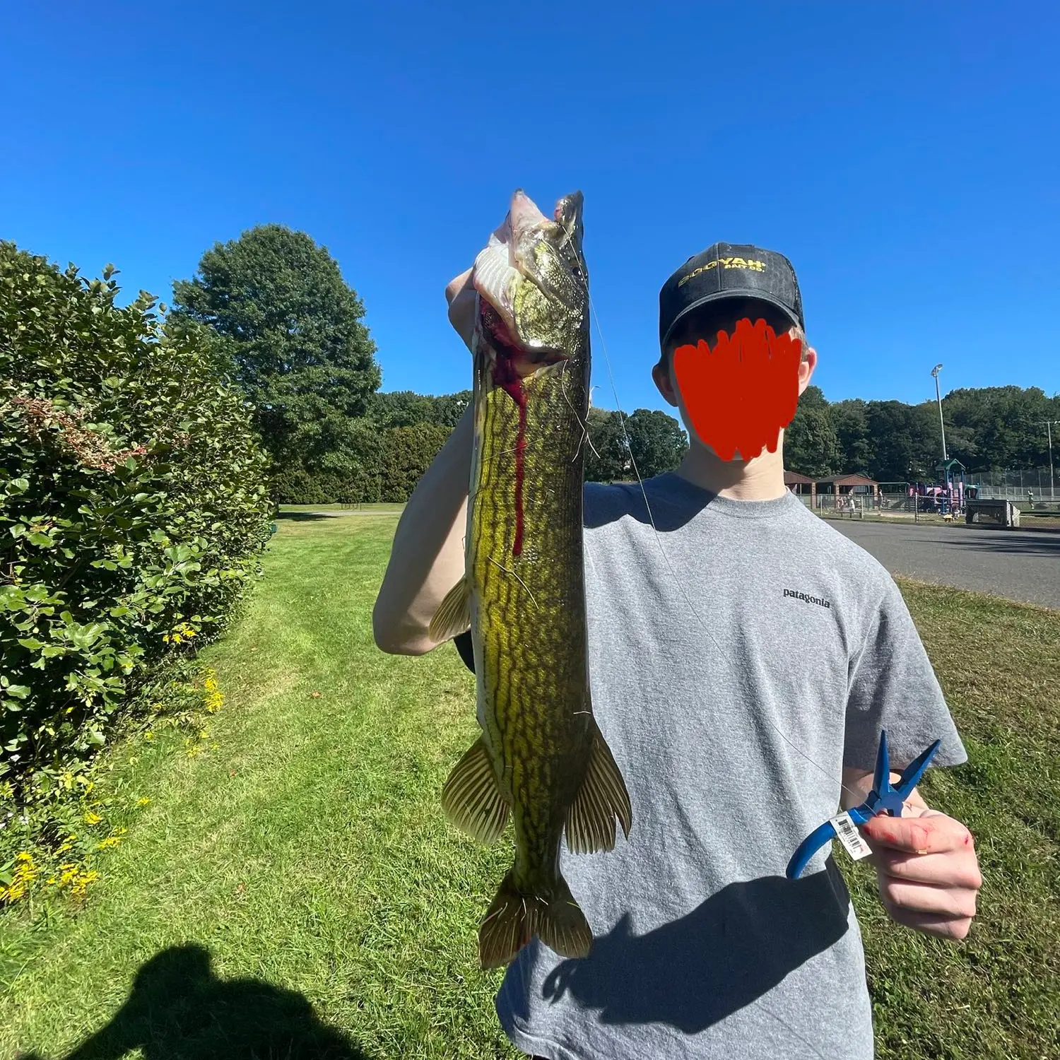 ᐅ Misery Brook fishing reports🎣• Southington, CT (United States