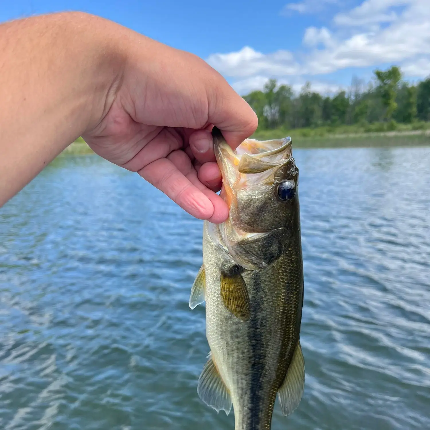 ᐅ Pratt Lake fishing reports🎣• Mount Pleasant, MI (United States) fishing