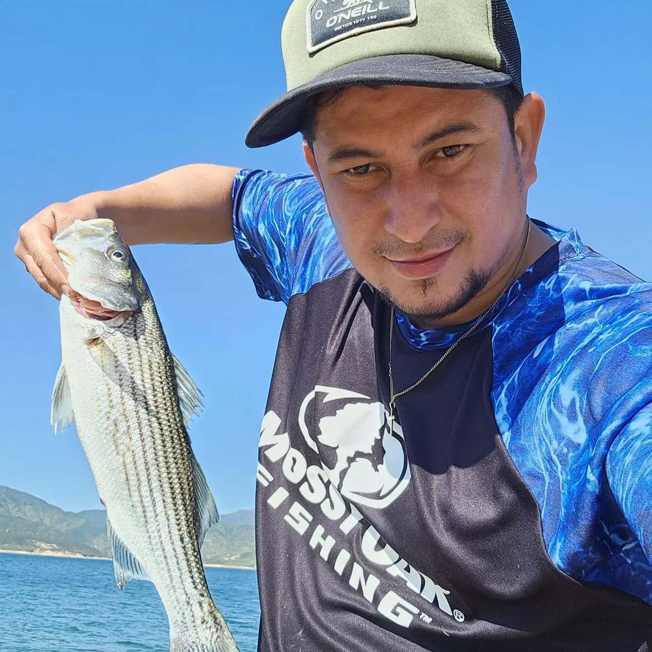 NPS Fishing - Castaic Swimmin' Cisco 10 - Lemon Shad