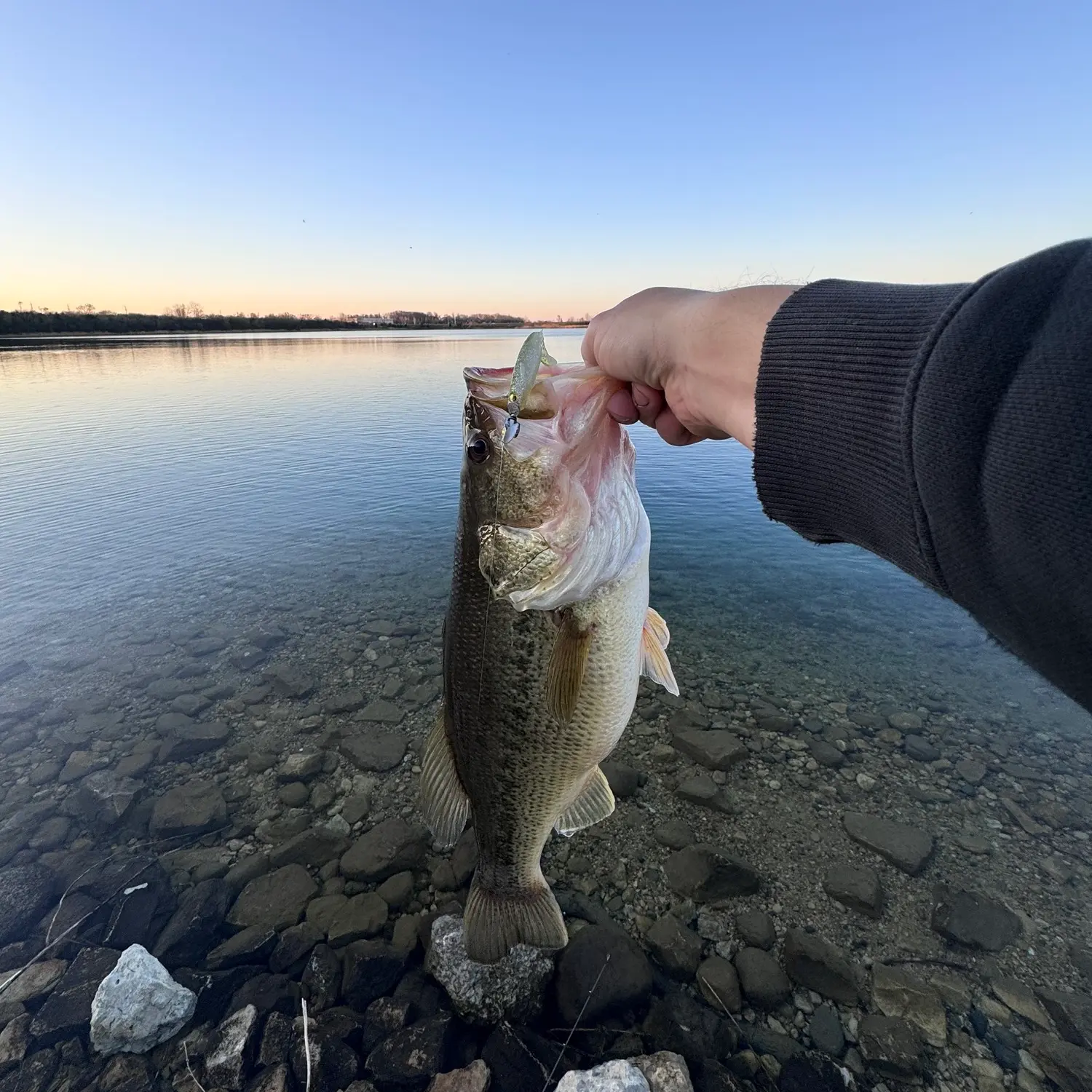 ᐅ Vulcan Lakes (Three Oaks Recreational Area) fishing reports🎣• Crystal  Lake, IL (United States) fishing