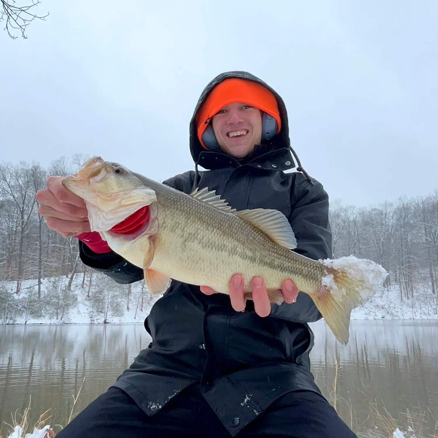 ᐅ Little Seneca Lake fishing reports🎣• Germantown, MD (United