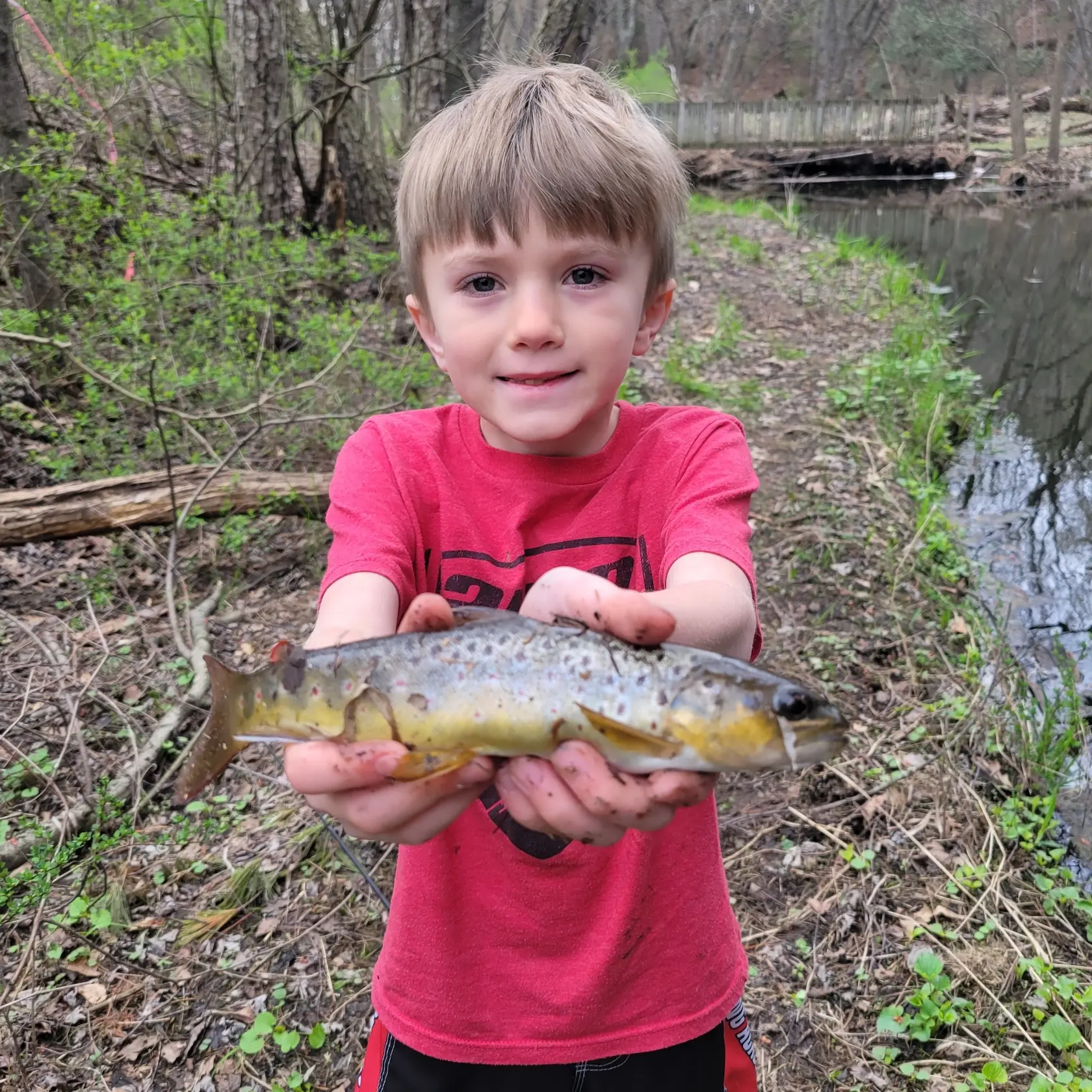 ᐅ Hulburt Creek fishing reports🎣• Baraboo, WI (United States) fishing