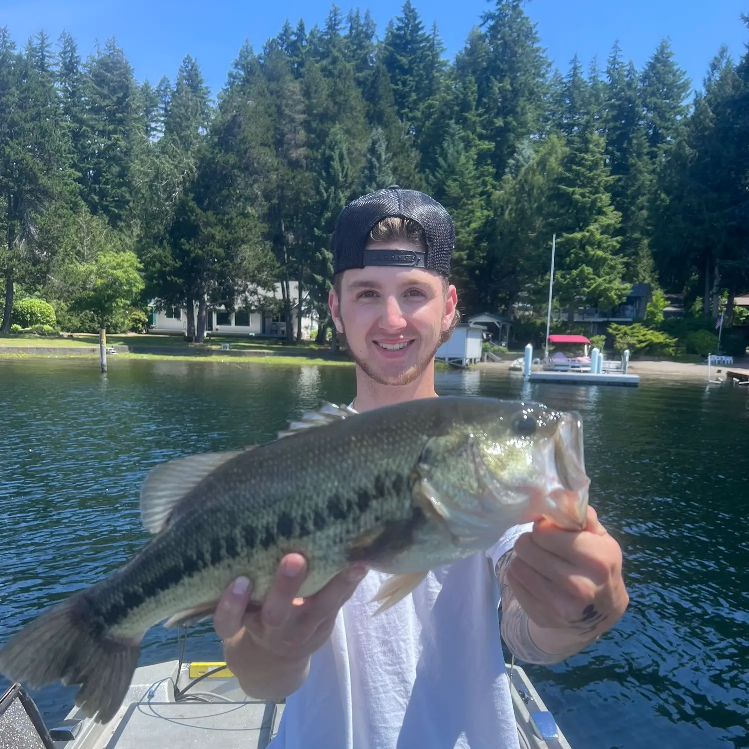 ᐅ Benson Lake fishing reports🎣• Shelton, WA (United States) fishing