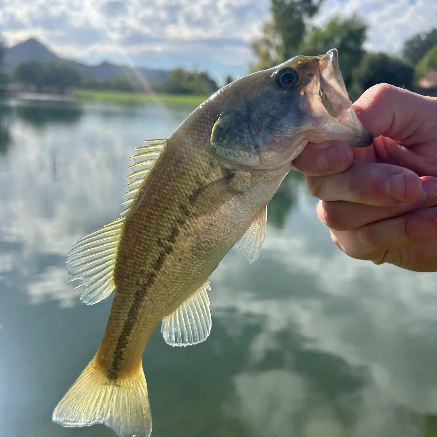 Bass_season THKFISH Fishing Hooks Freshwater Fishing India