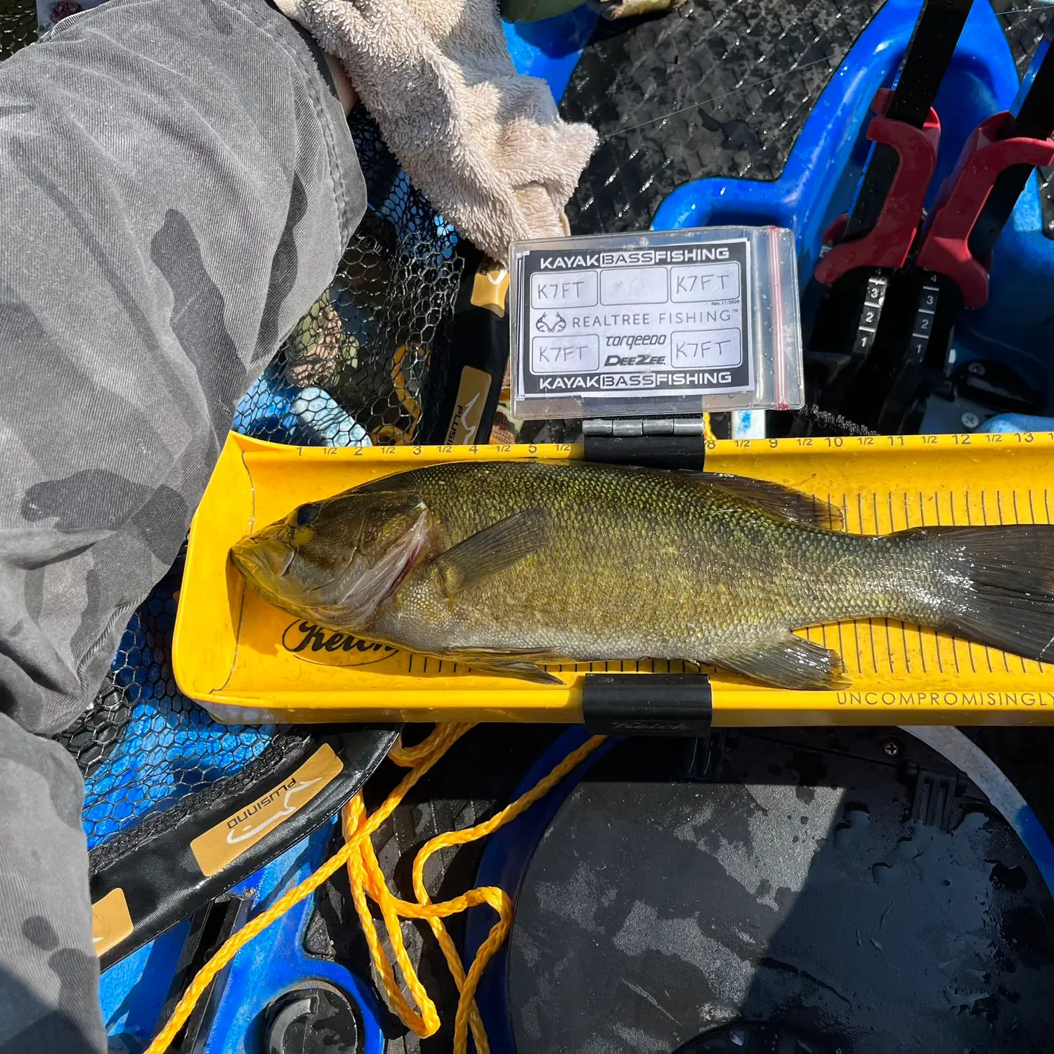 Fishing buddy in dracut,tyngsboro,lowell area - MA Fish Finder